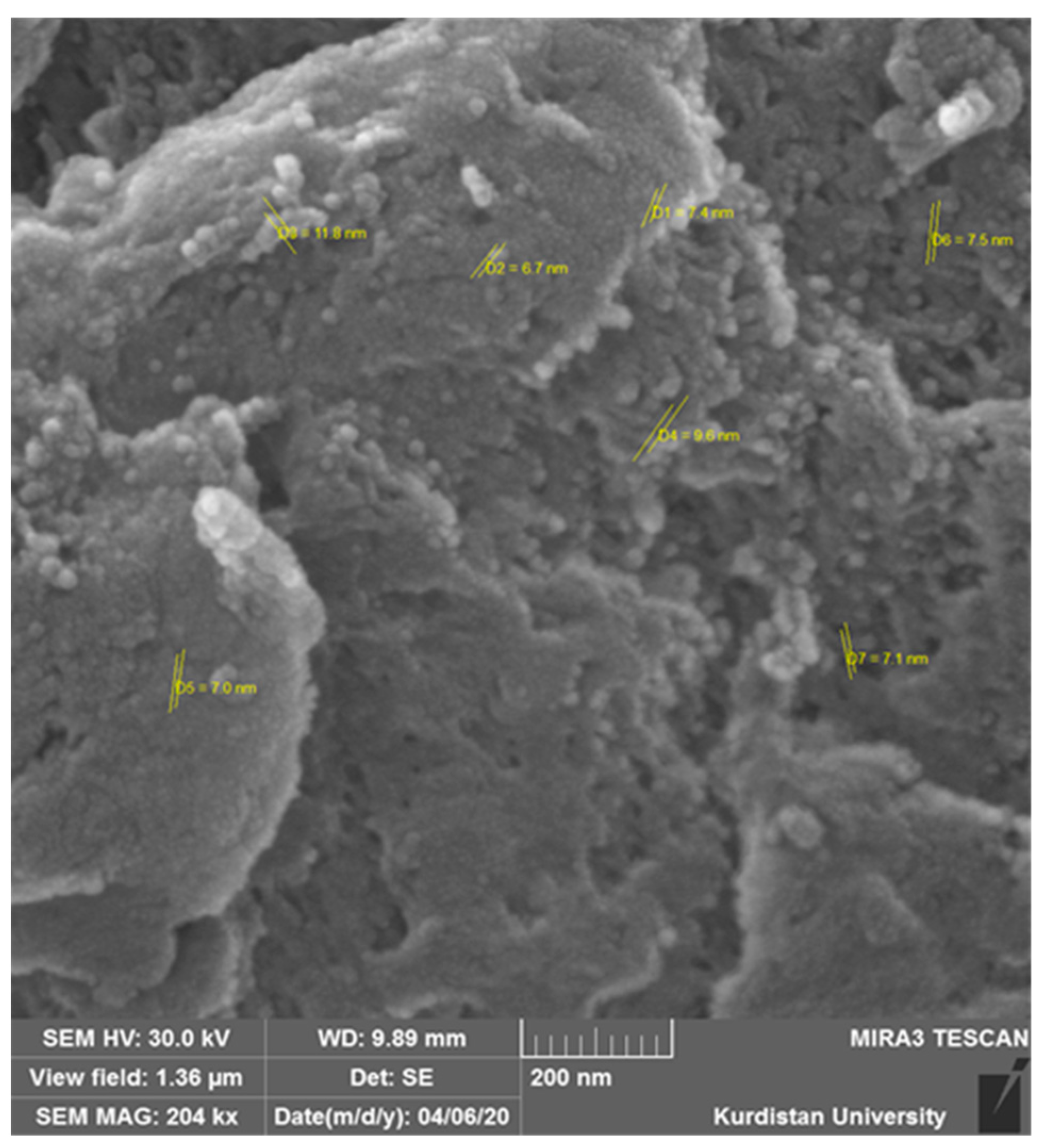 Agronomy 12 01827 g001