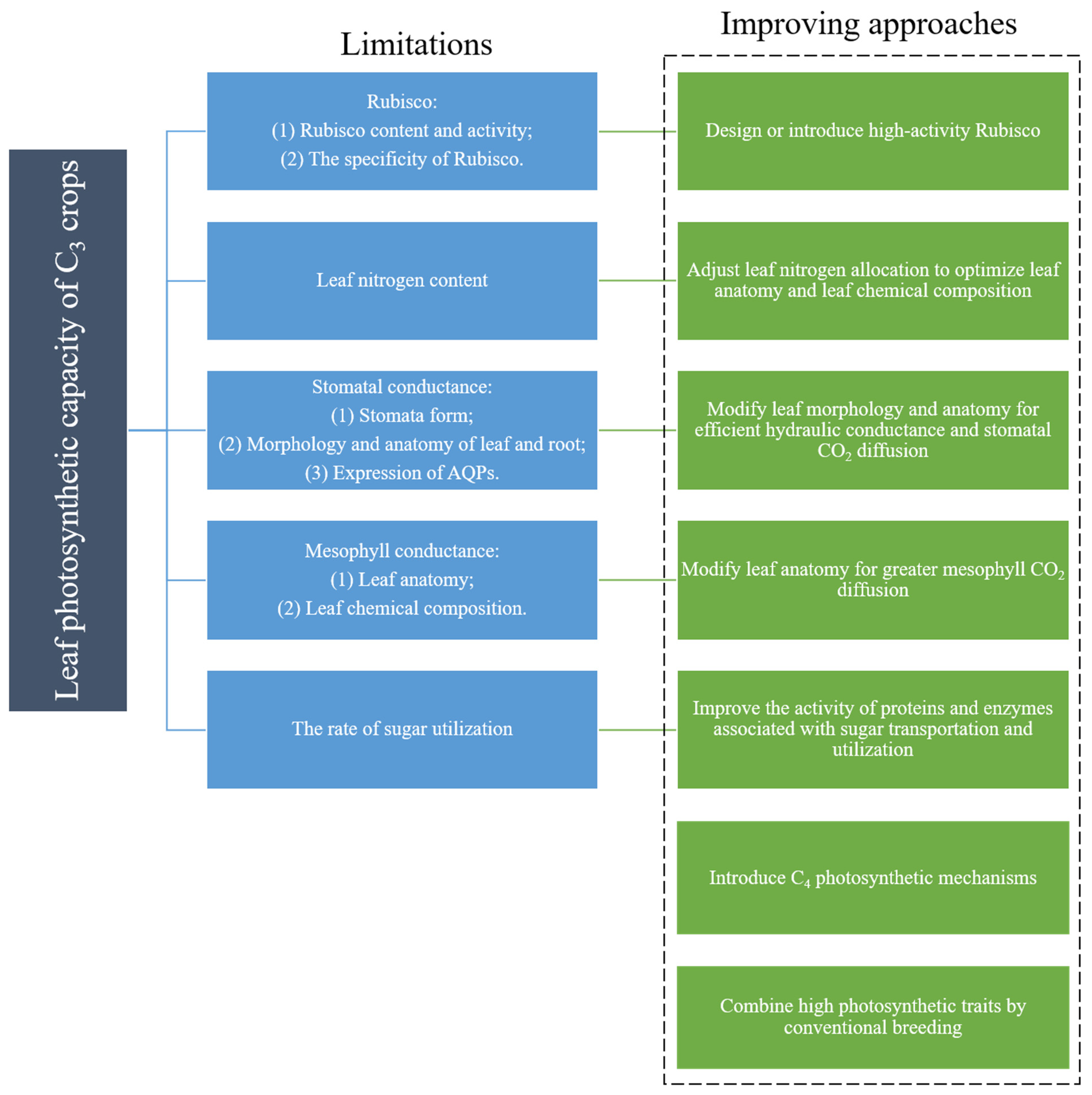 Agronomy 12 01830 g003