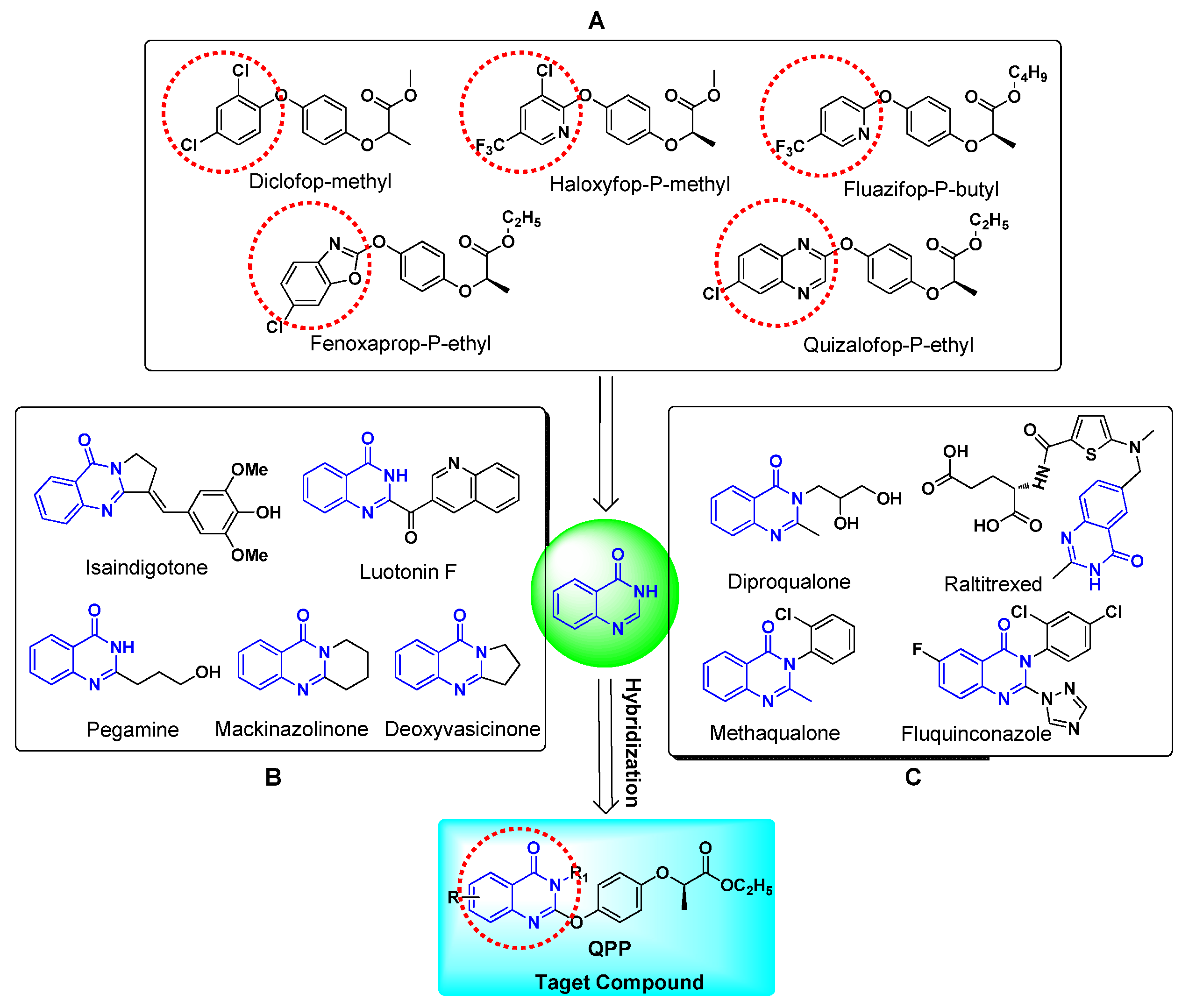Agronomy 12 01840 g001