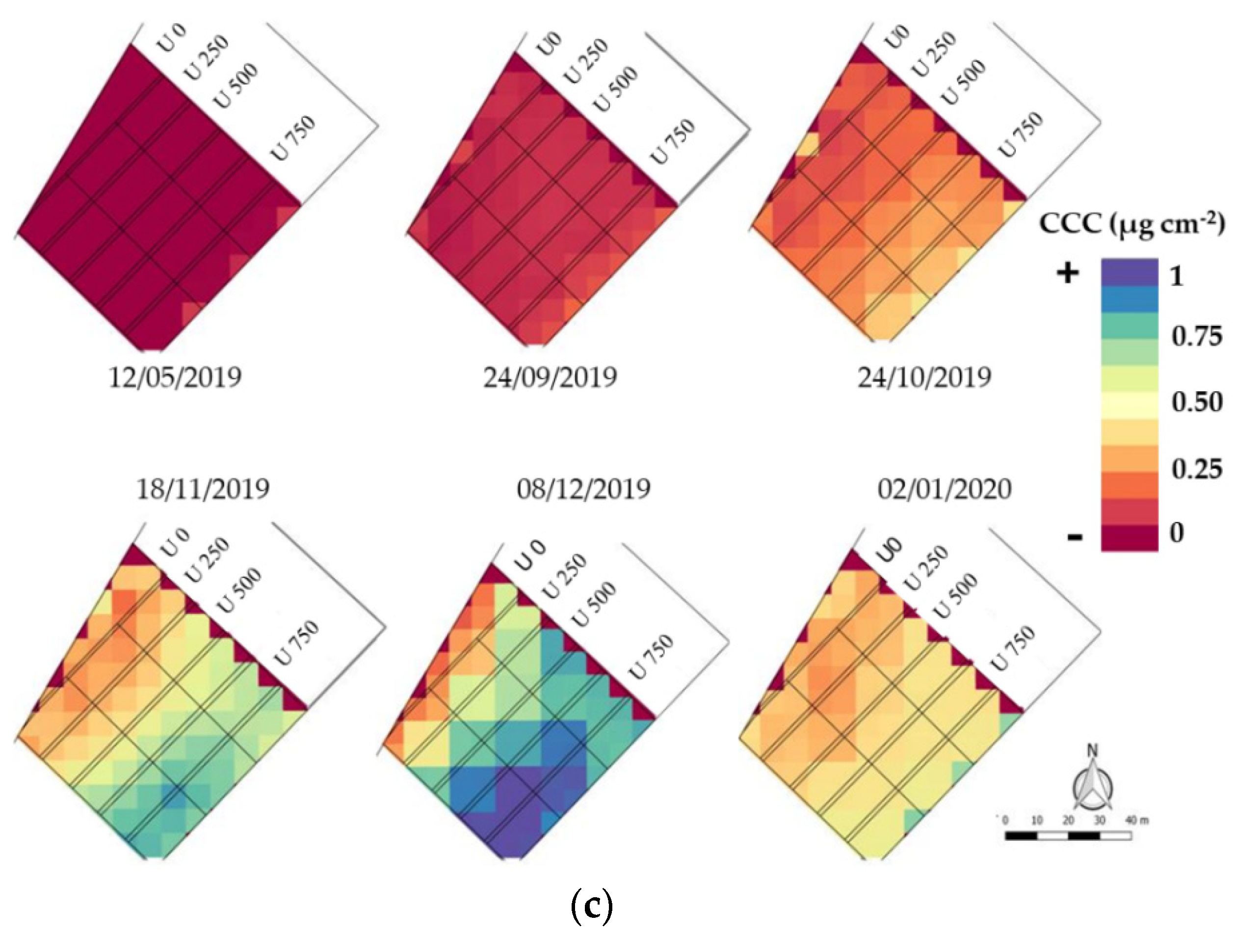 Agronomy 12 01884 g003b