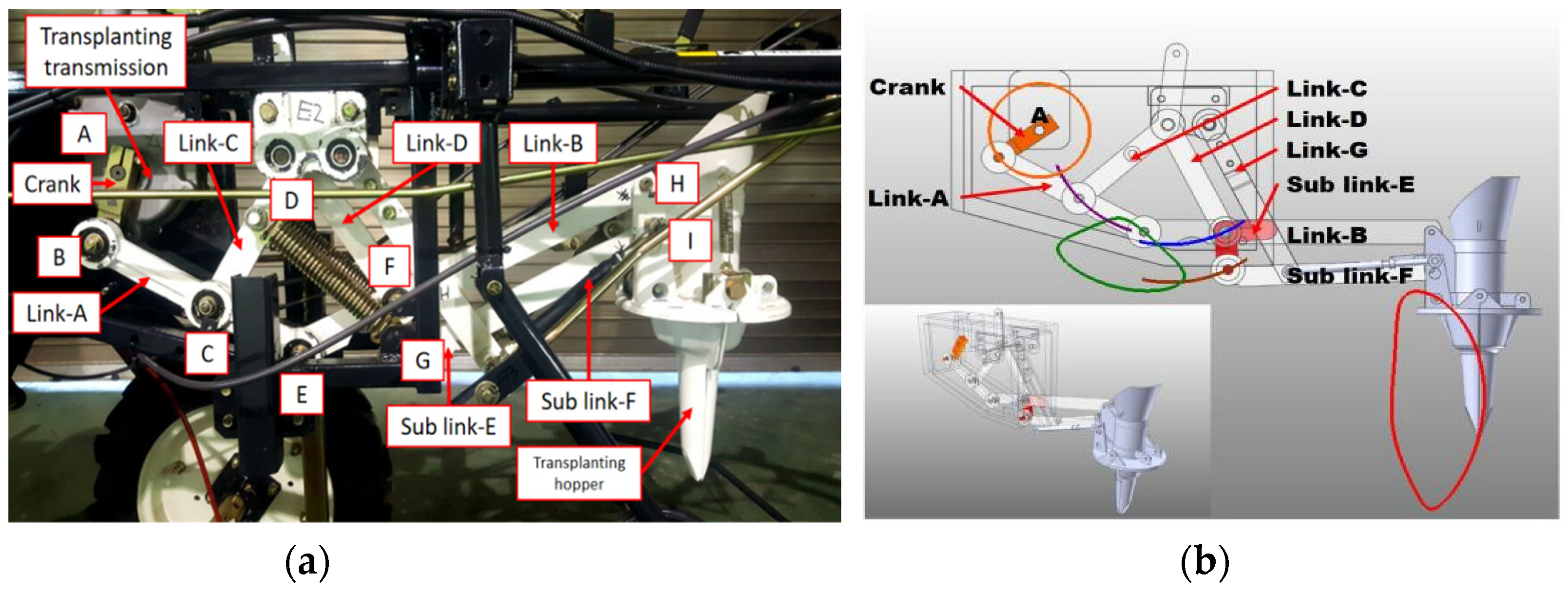Agronomy 12 01890 g003