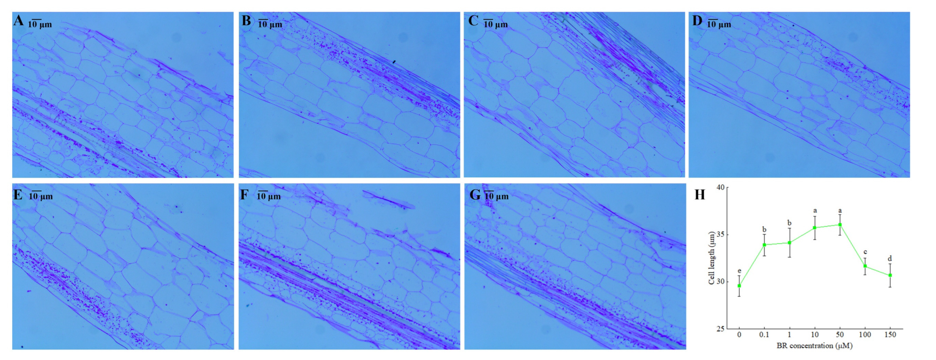 Agronomy 12 01895 g002