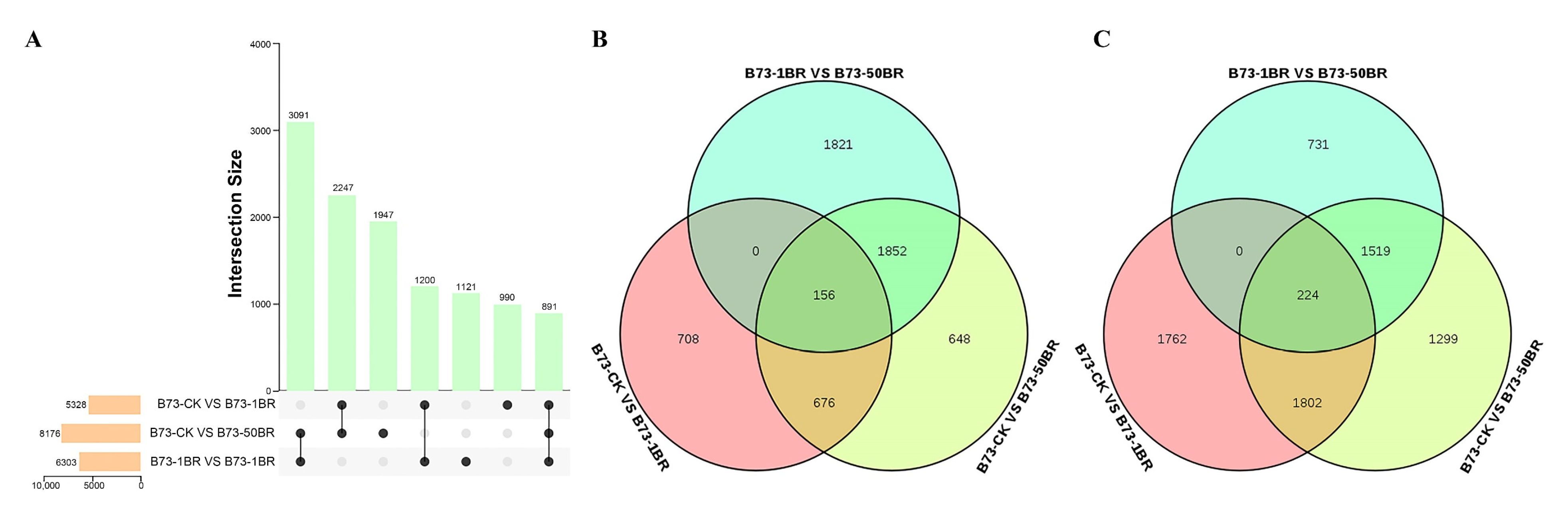 Agronomy 12 01895 g003