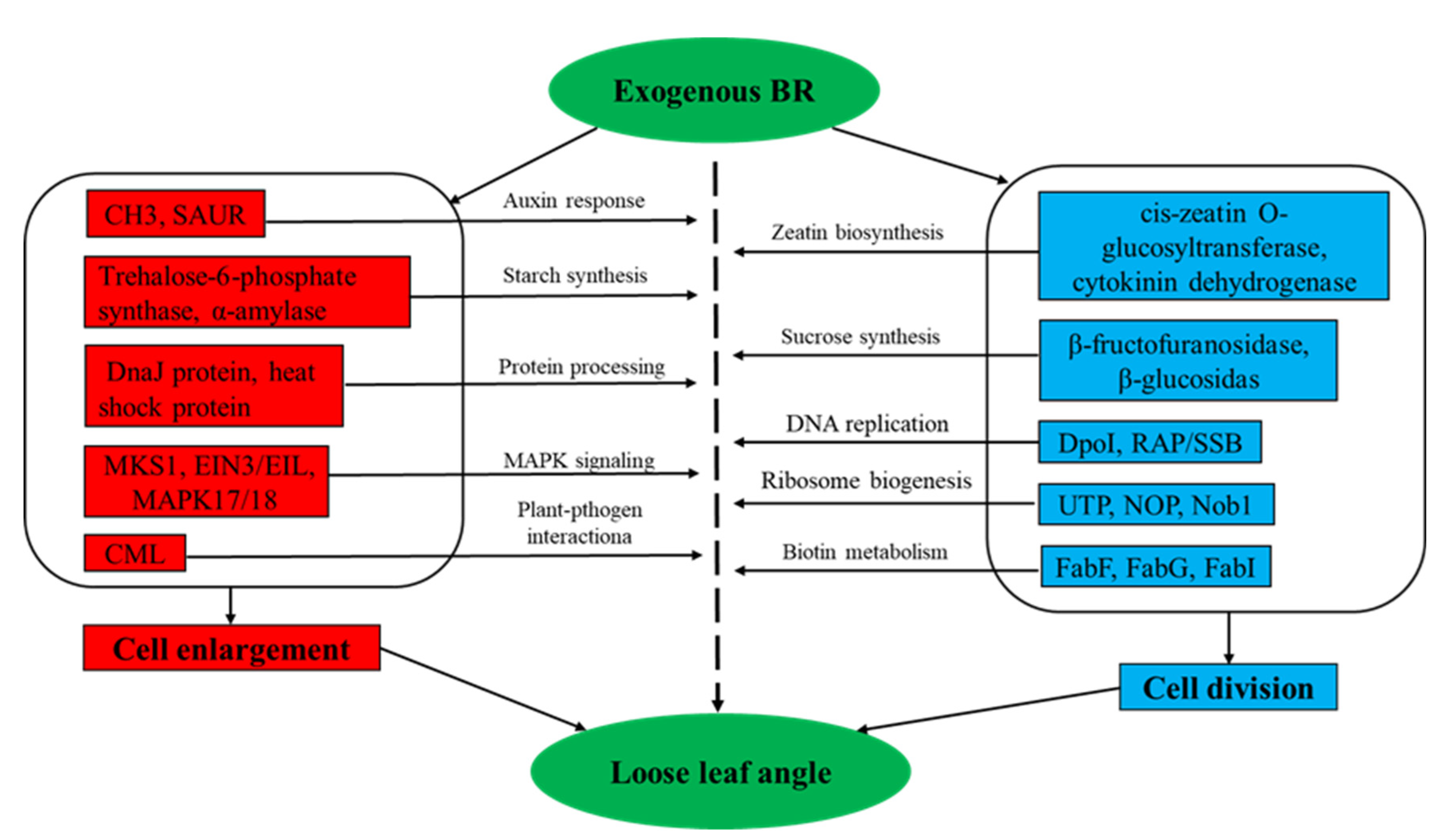 Agronomy 12 01895 g010