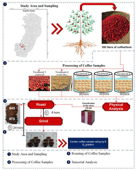 PDF) CHEMICAL COMPOSITION OF CONILON COFFEE IN DIFFERENT DEGREES