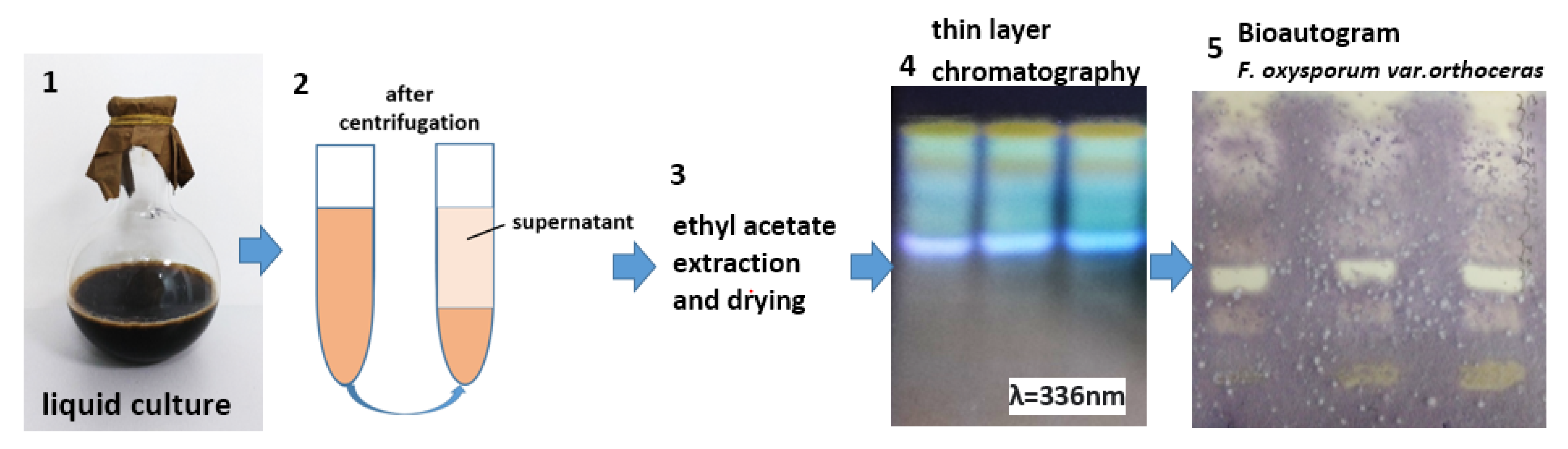 Agronomy 12 01956 g002