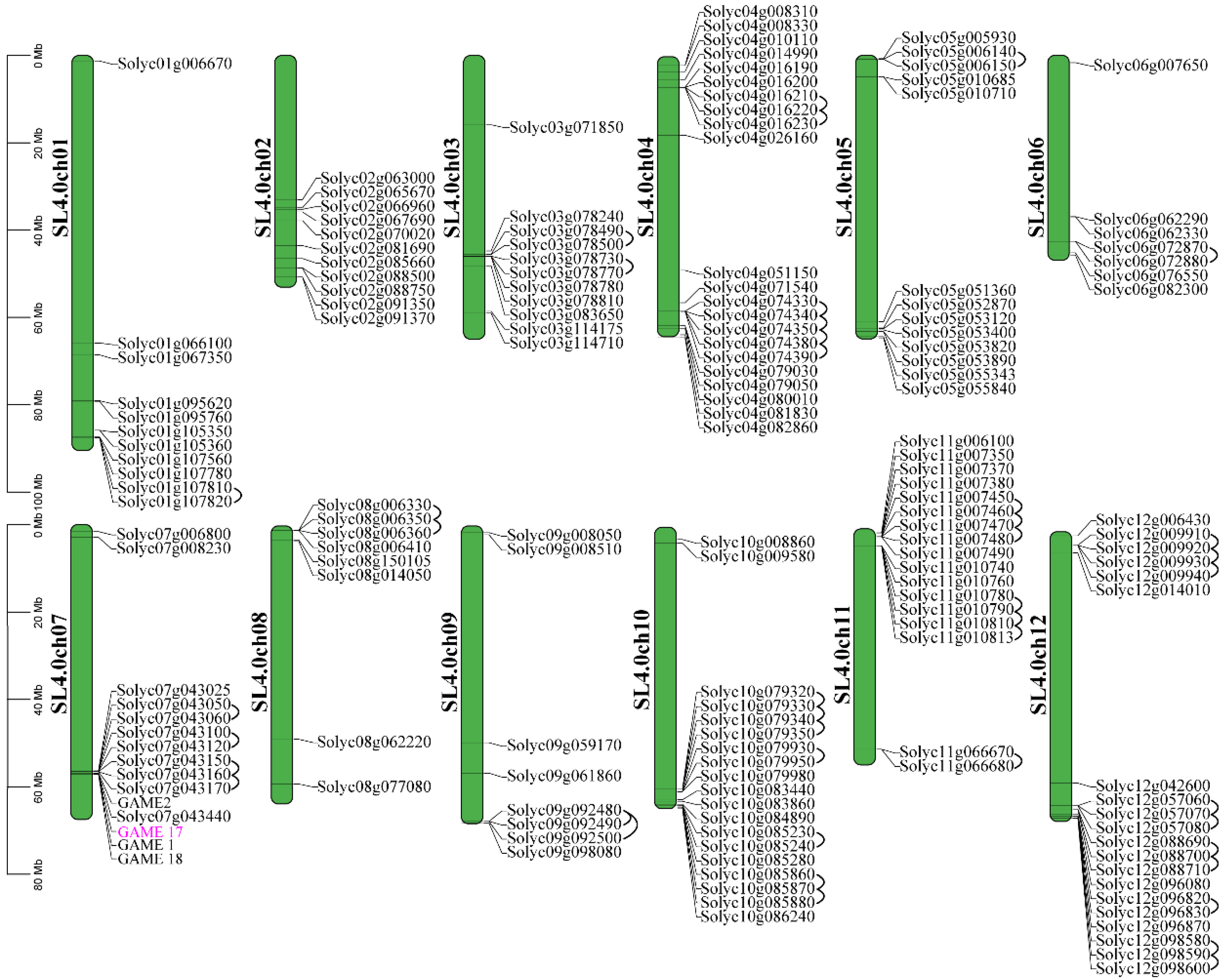 Agronomy 12 01998 g001