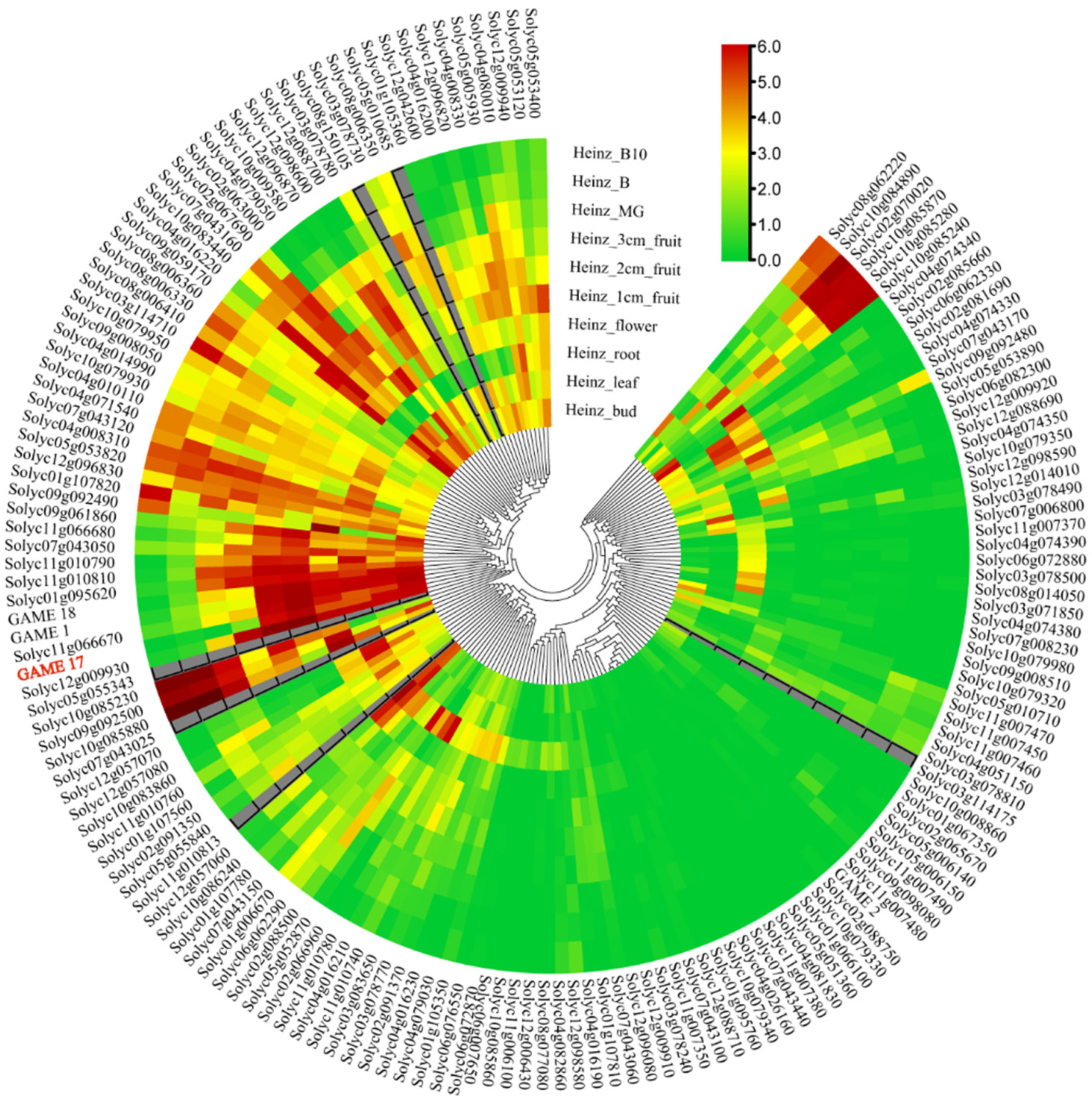 Agronomy 12 01998 g004