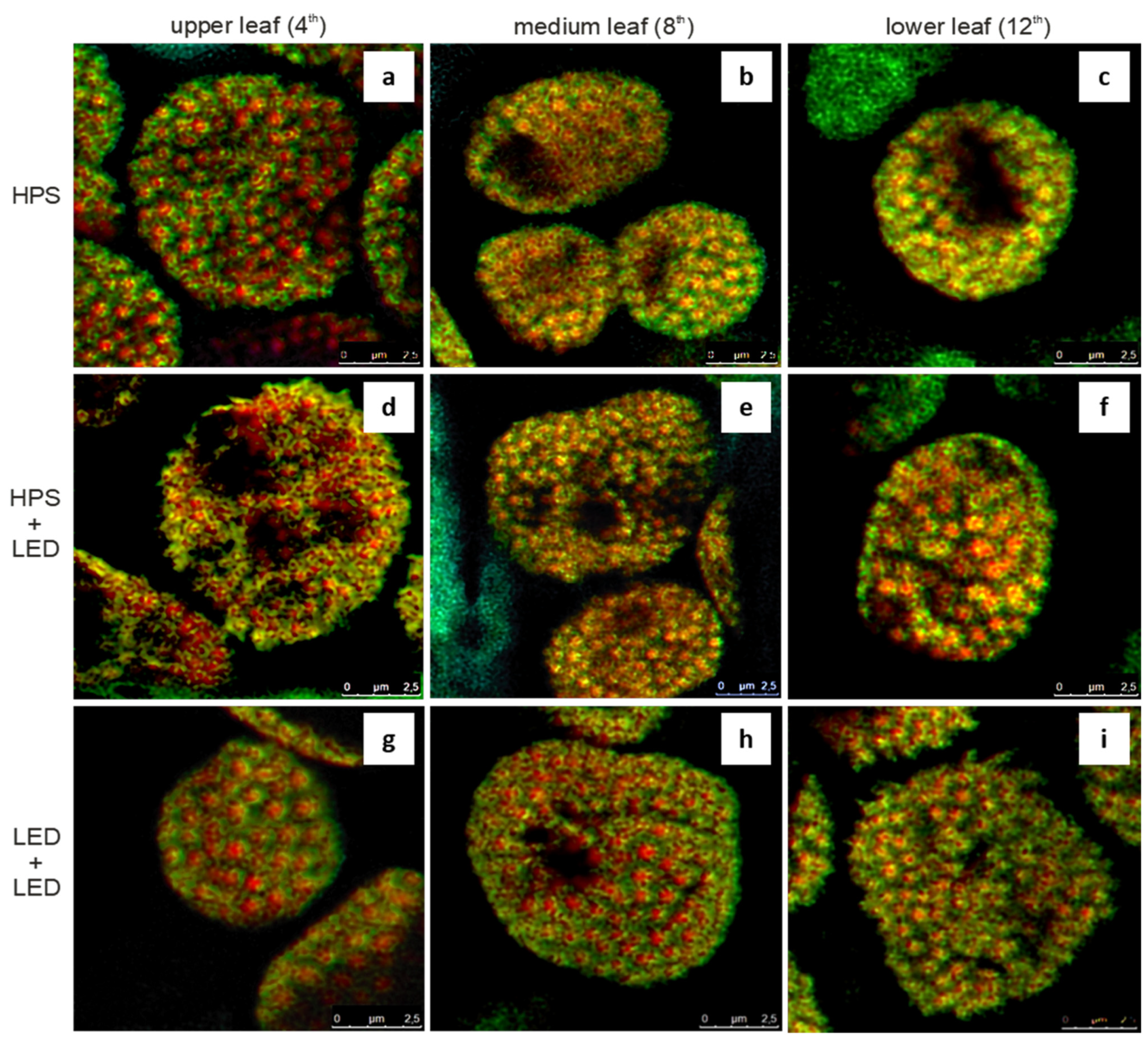 Agronomy 12 02004 g003