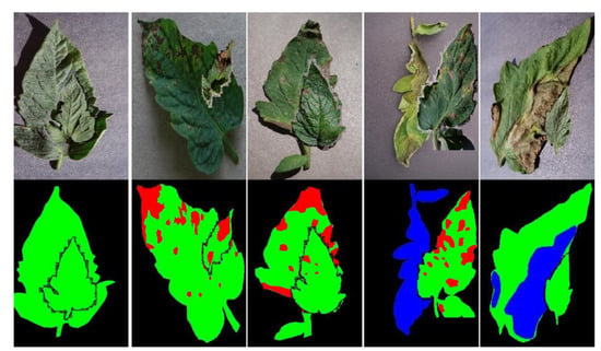 Agronomy | Free Full-Text | DS-DETR: A Model for Tomato Leaf Disease ...