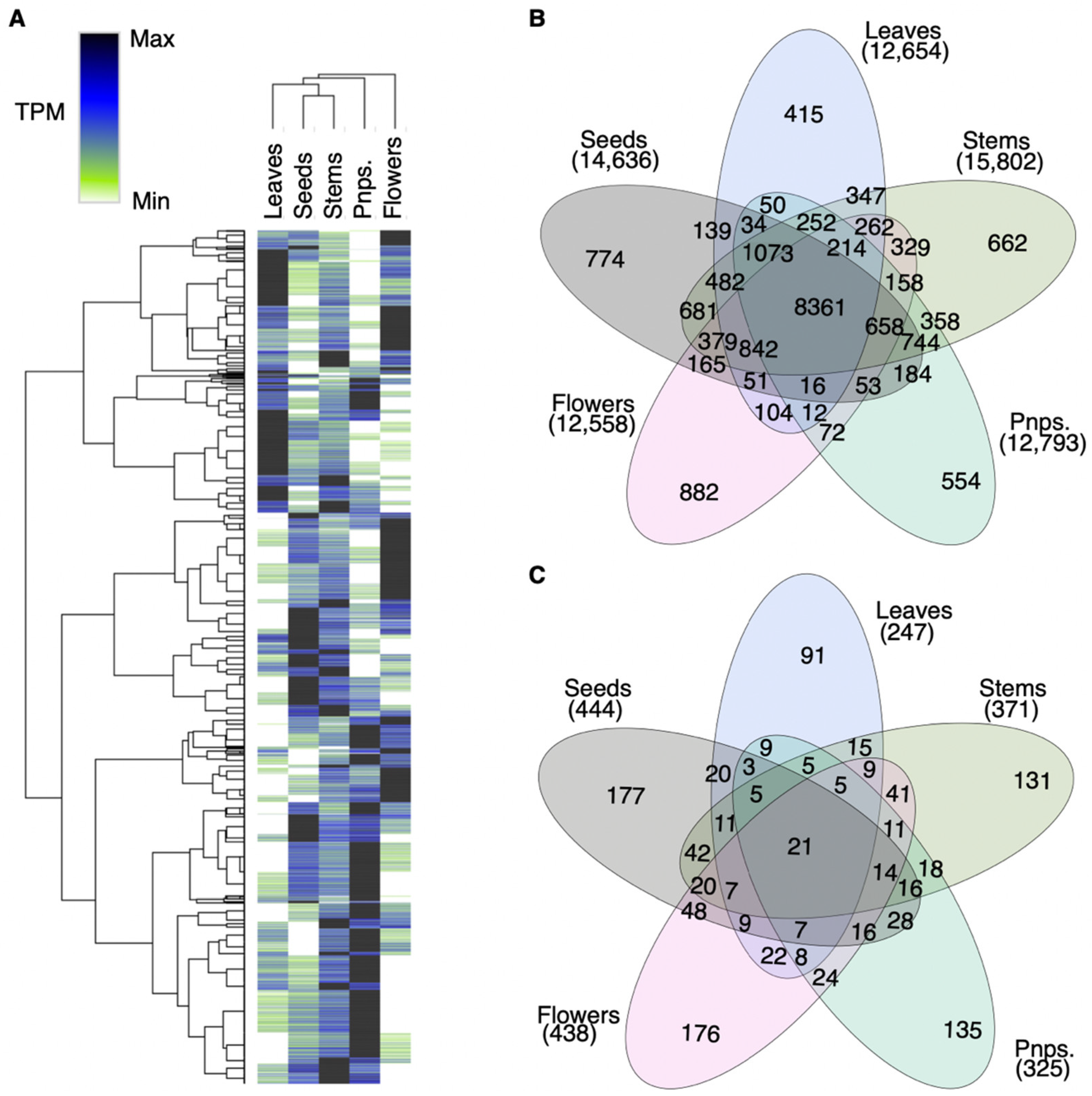 Agronomy 12 02030 g002 Agronomy 12 02030 g002