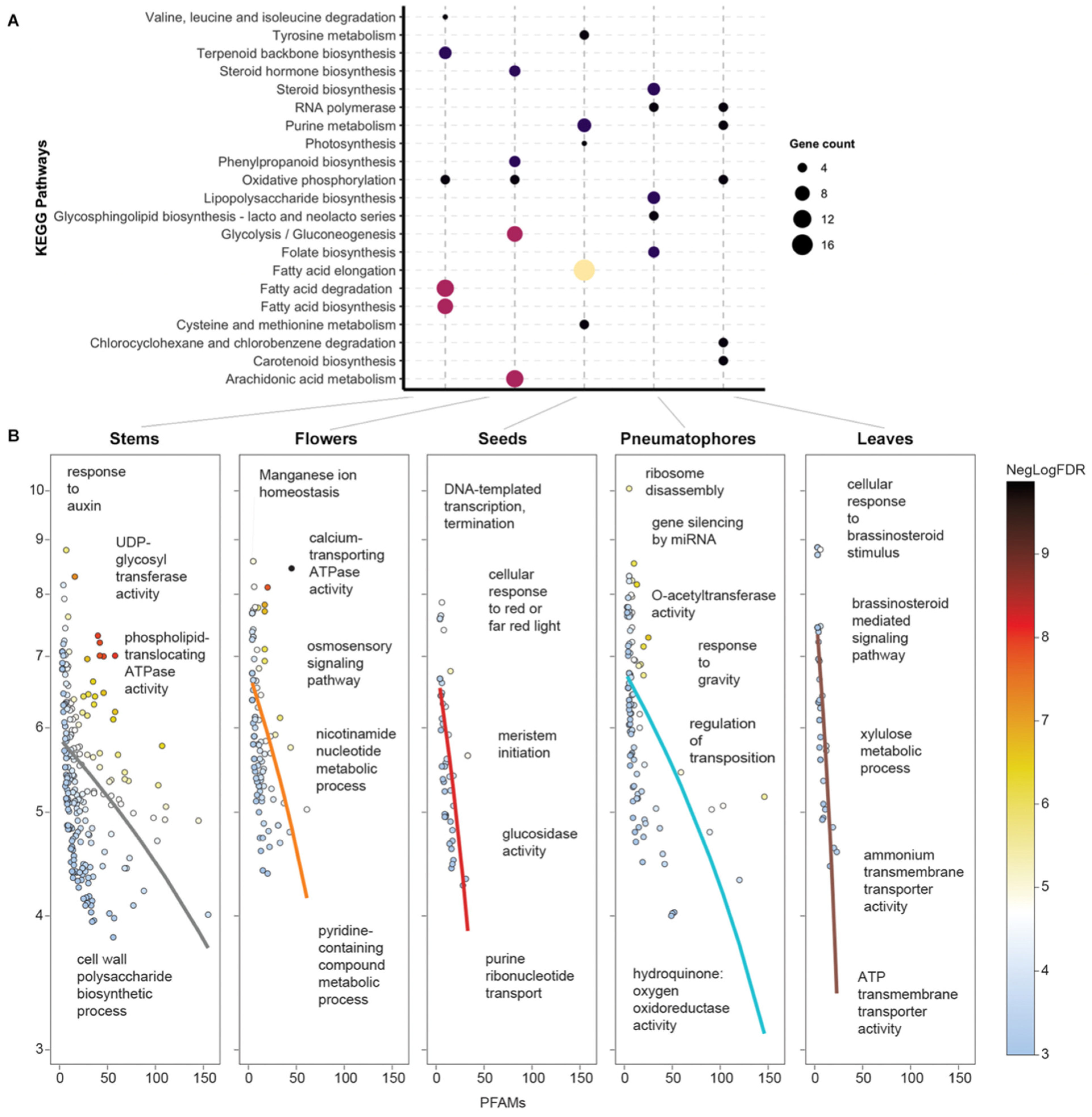 Agronomy 12 02030 g003 Agronomy 12 02030 g003
