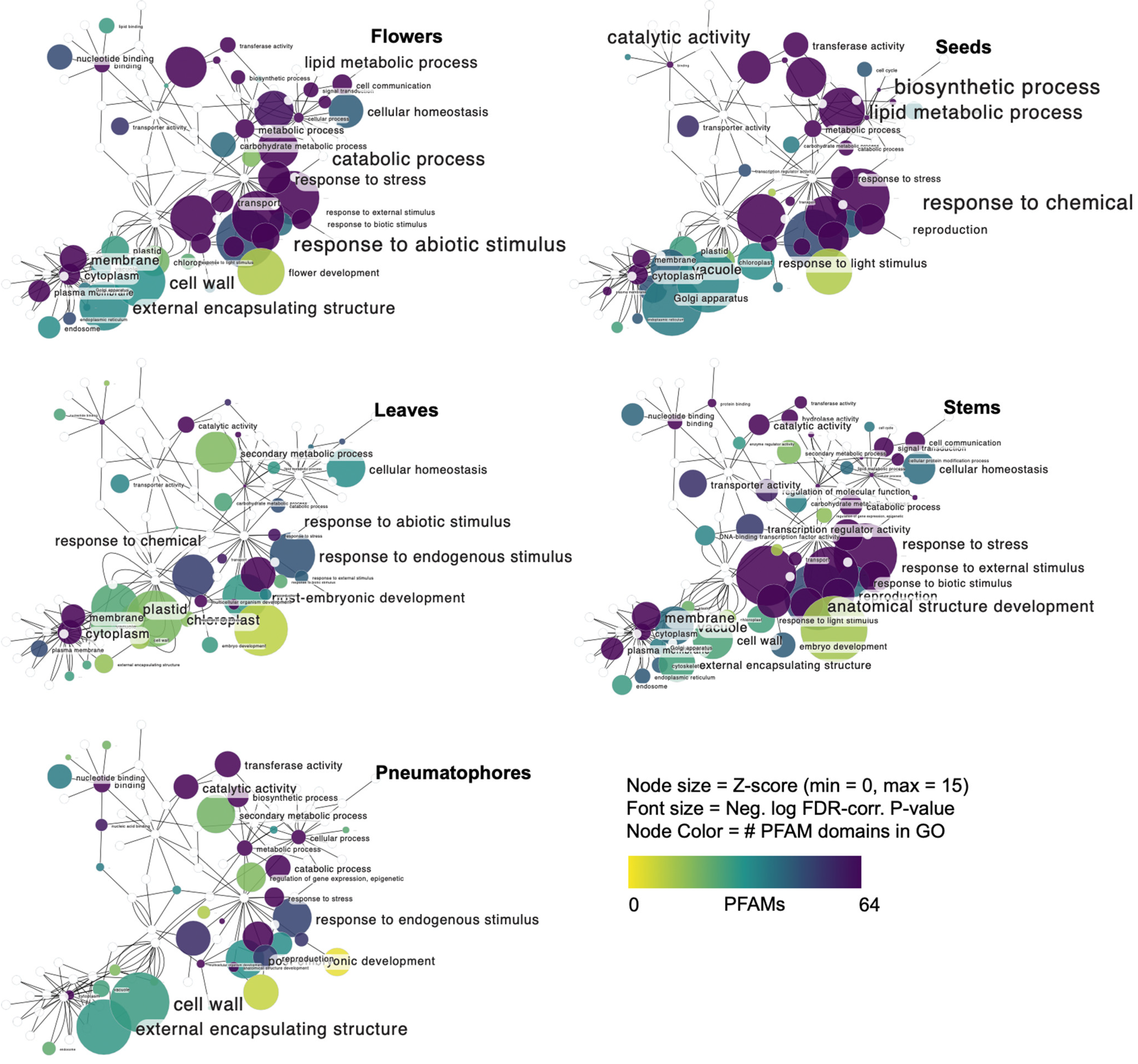 Agronomy 12 02030 g004 Agronomy 12 02030 g004