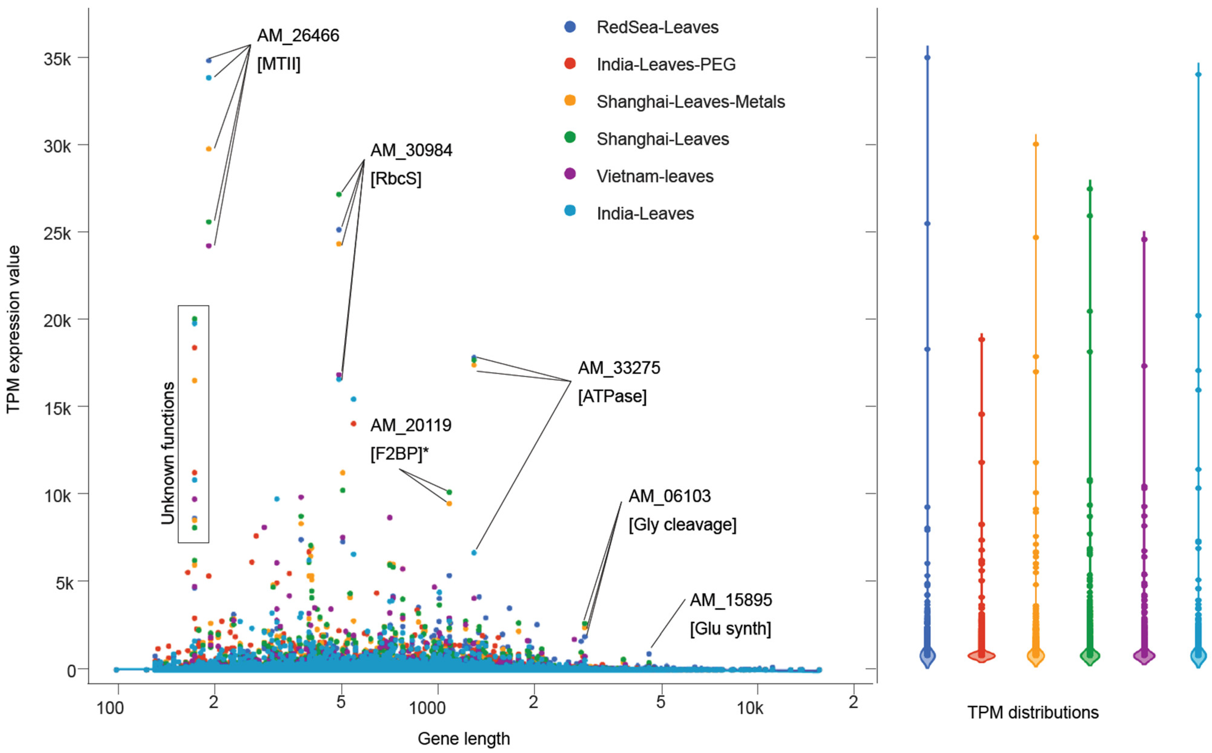 Agronomy 12 02030 g005 Agronomy 12 02030 g005
