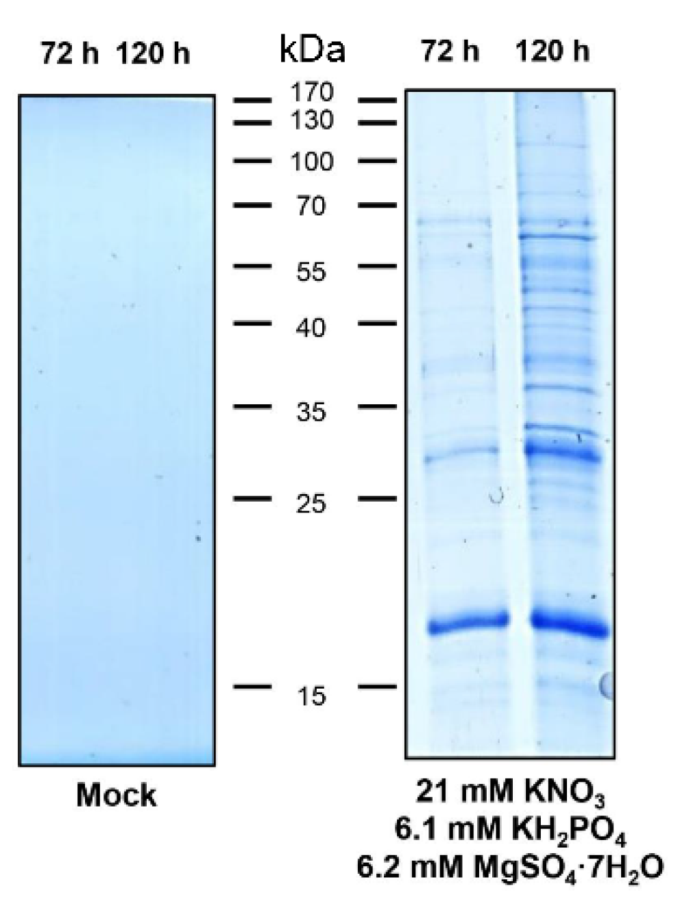 Agronomy 12 02048 g002 Agronomy 12 02048 g002