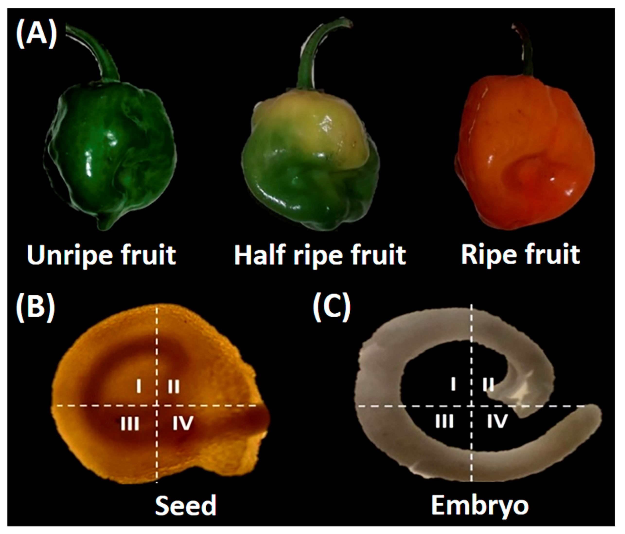 Agronomy 12 02117 g001 Agronomy 12 02117 g001