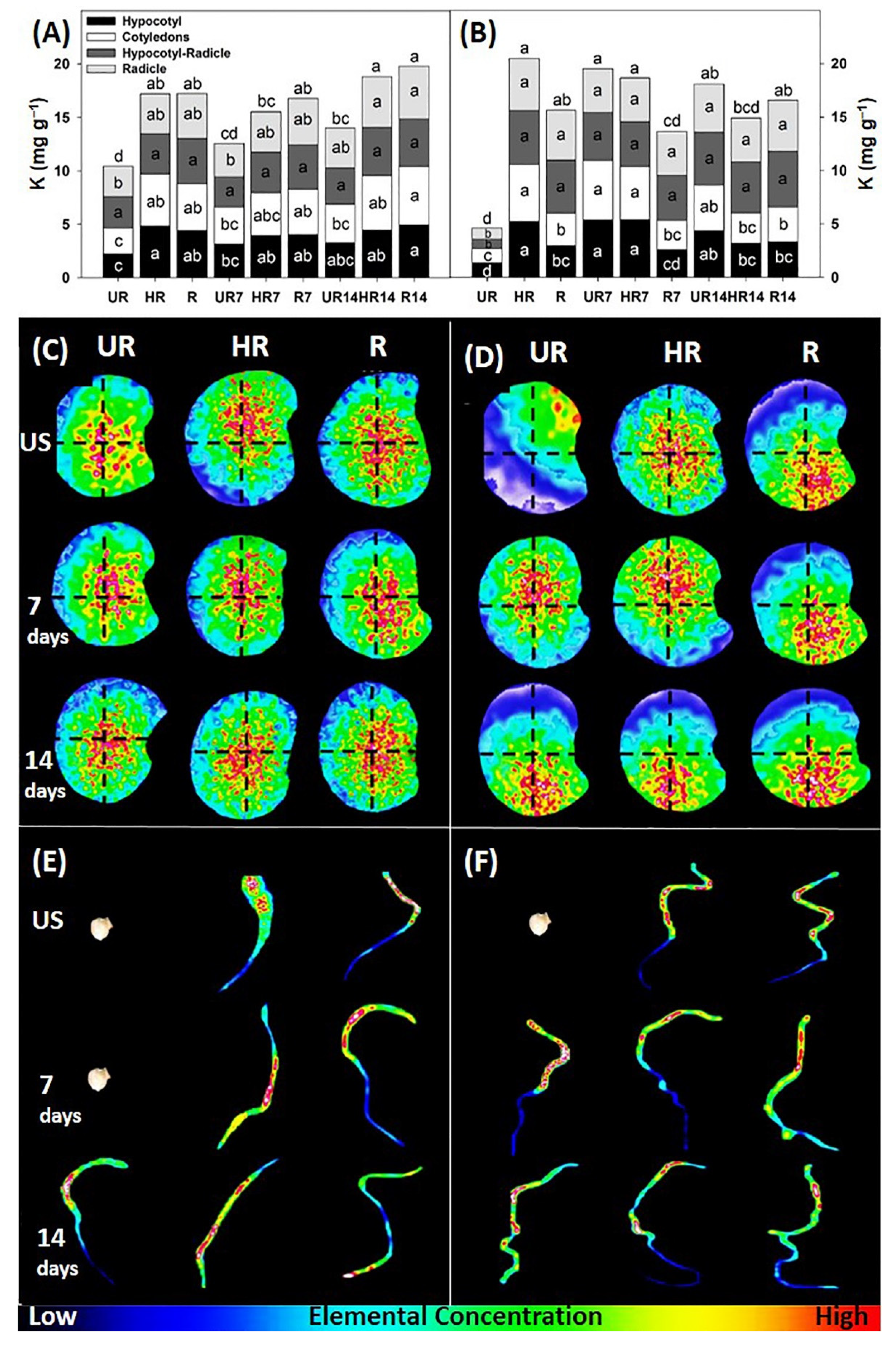 Agronomy 12 02117 g002 Agronomy 12 02117 g002