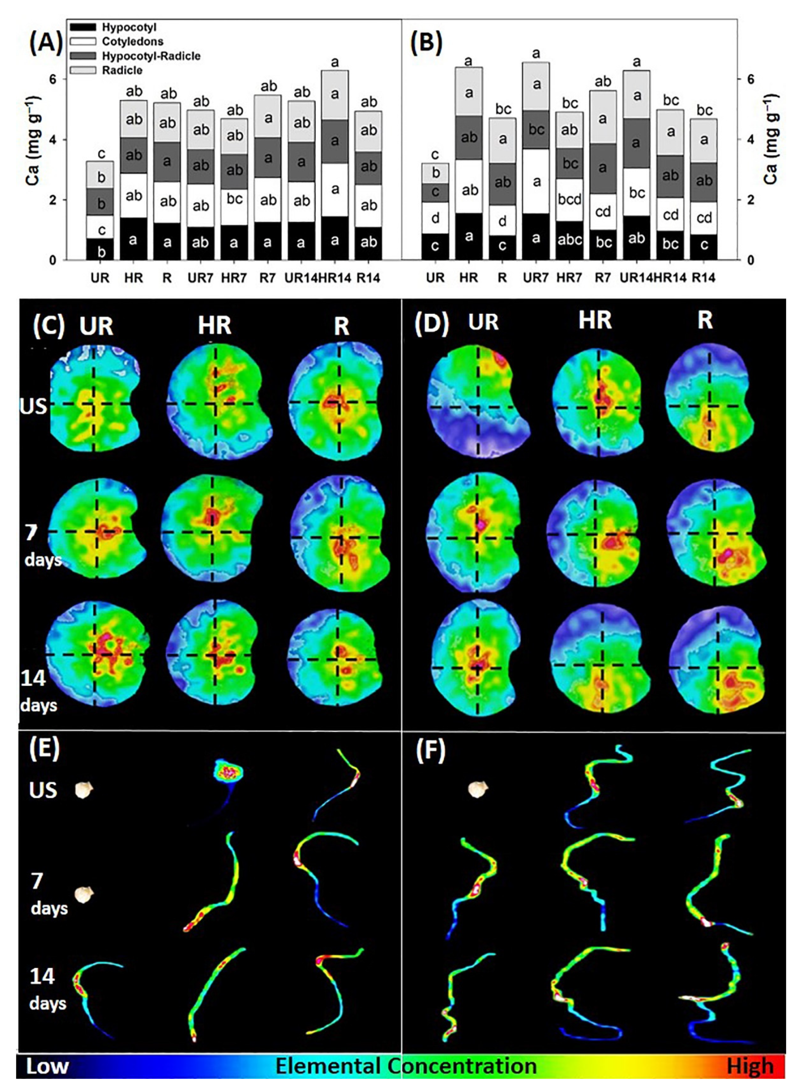 Agronomy 12 02117 g003 Agronomy 12 02117 g003