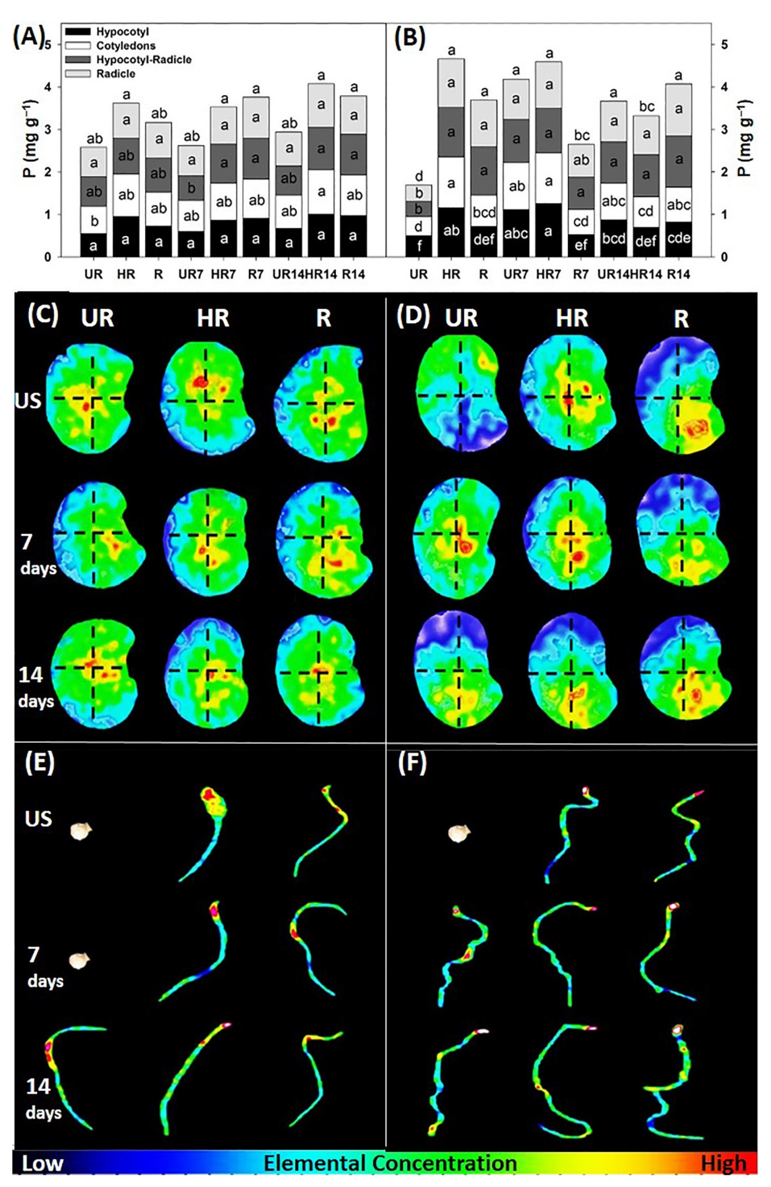 Agronomy 12 02117 g004 Agronomy 12 02117 g004