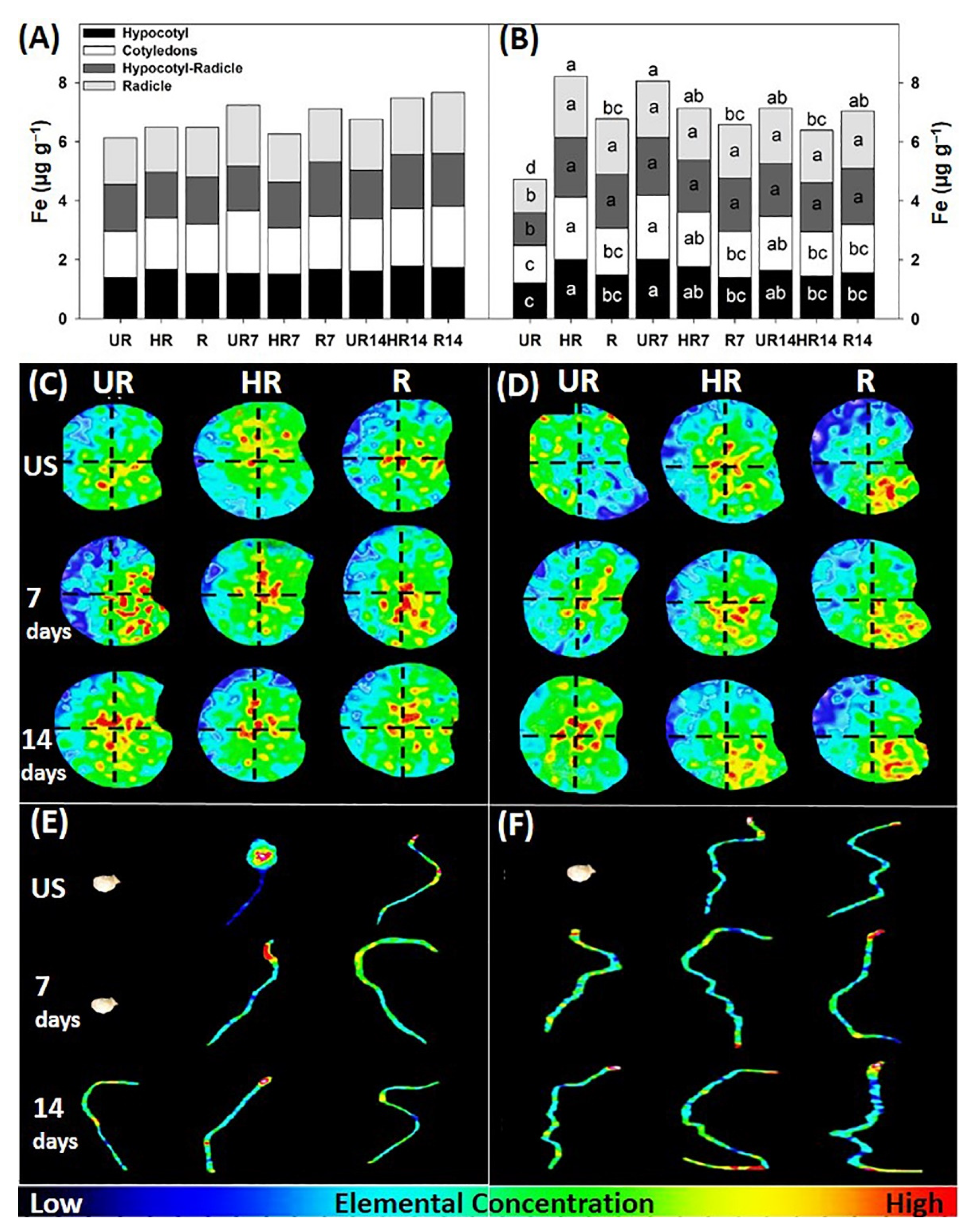 Agronomy 12 02117 g005 Agronomy 12 02117 g005