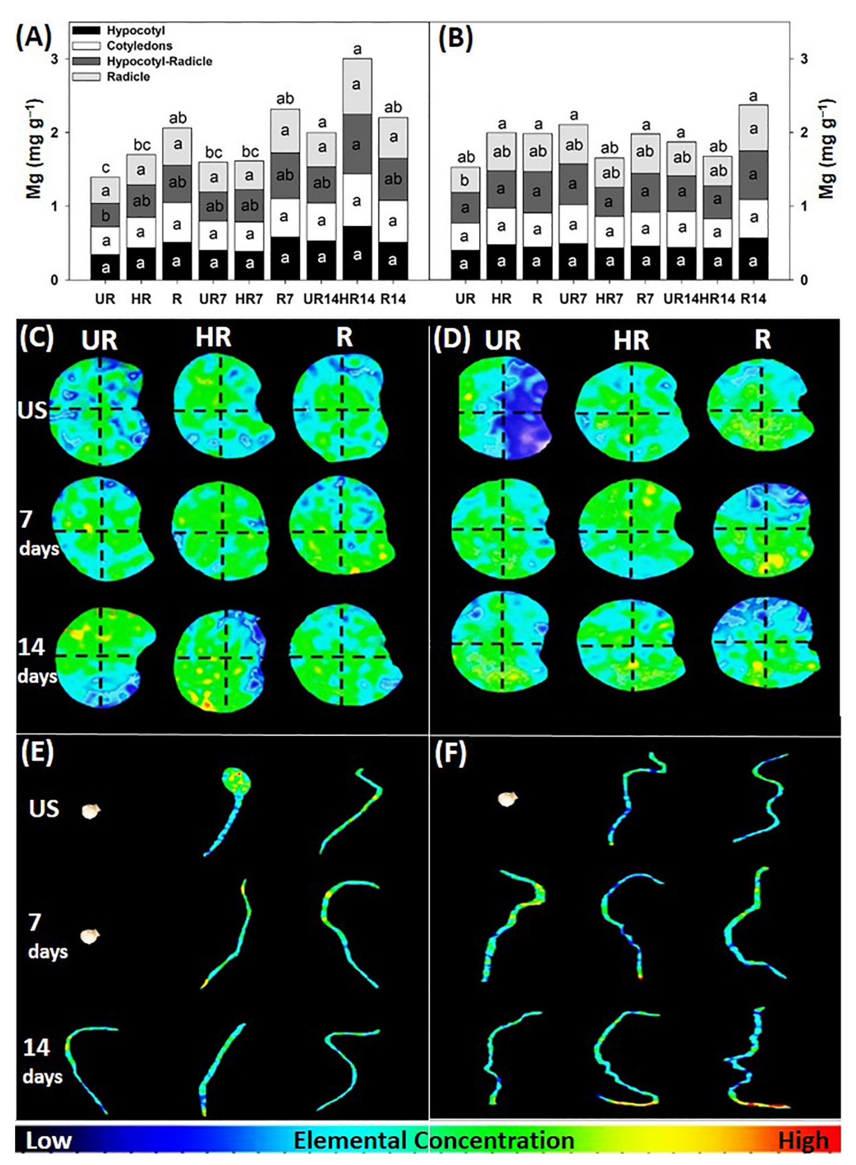 Agronomy 12 02117 g006 Agronomy 12 02117 g006