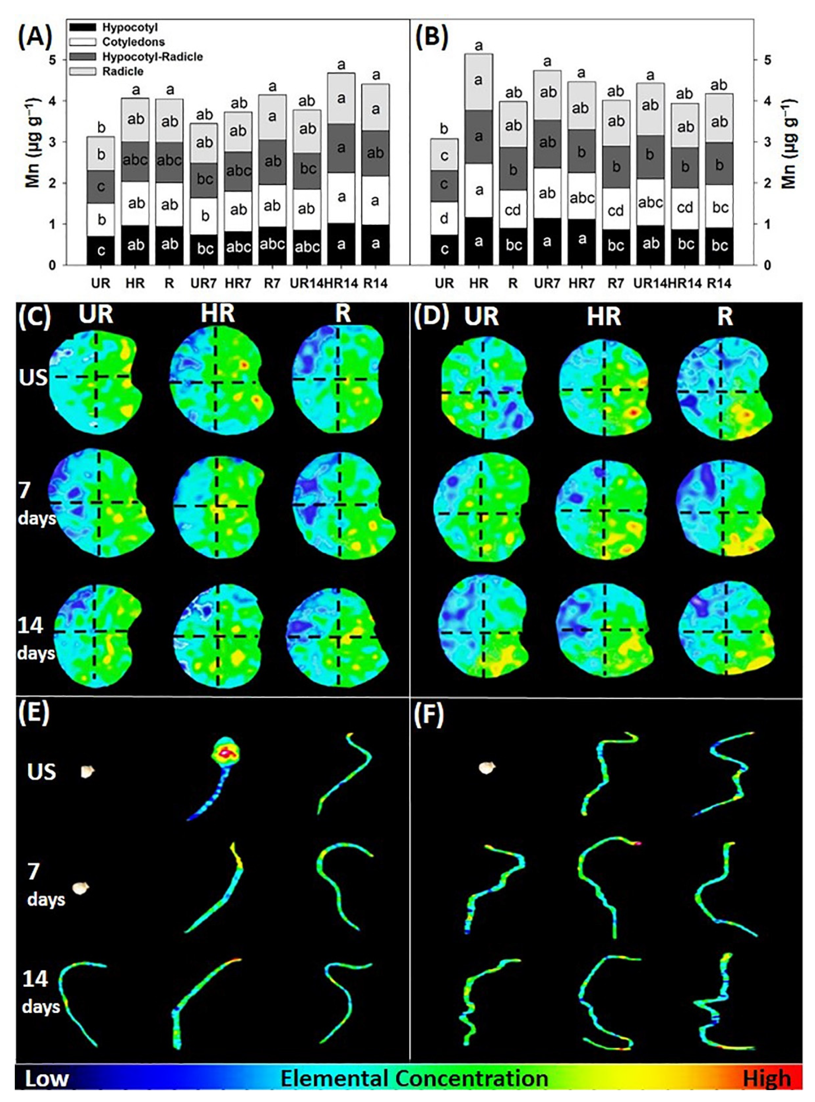 Agronomy 12 02117 g007 Agronomy 12 02117 g007