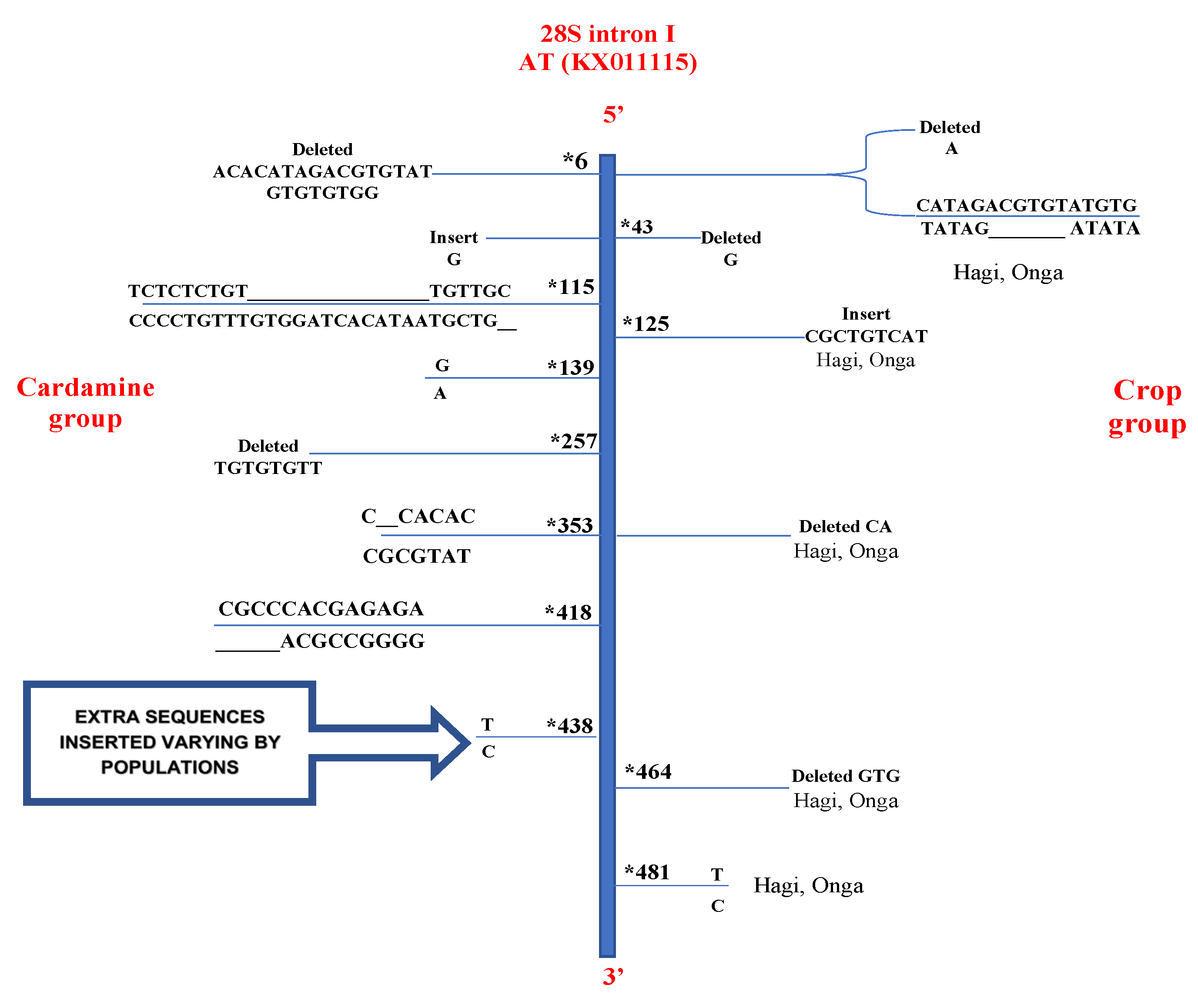 Agronomy 12 02154 g005 Agronomy 12 02154 g005