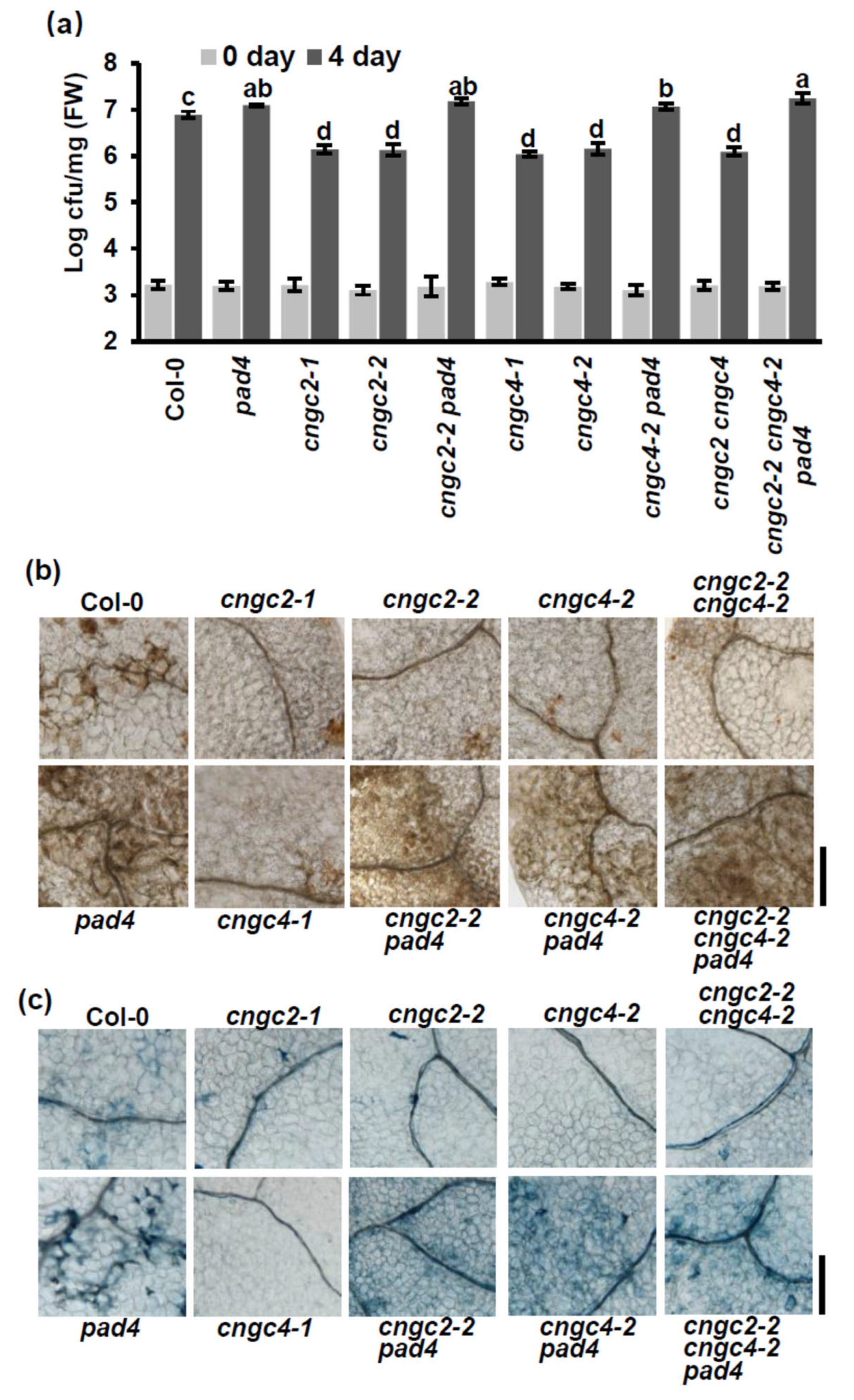Agronomy 12 02176 g001