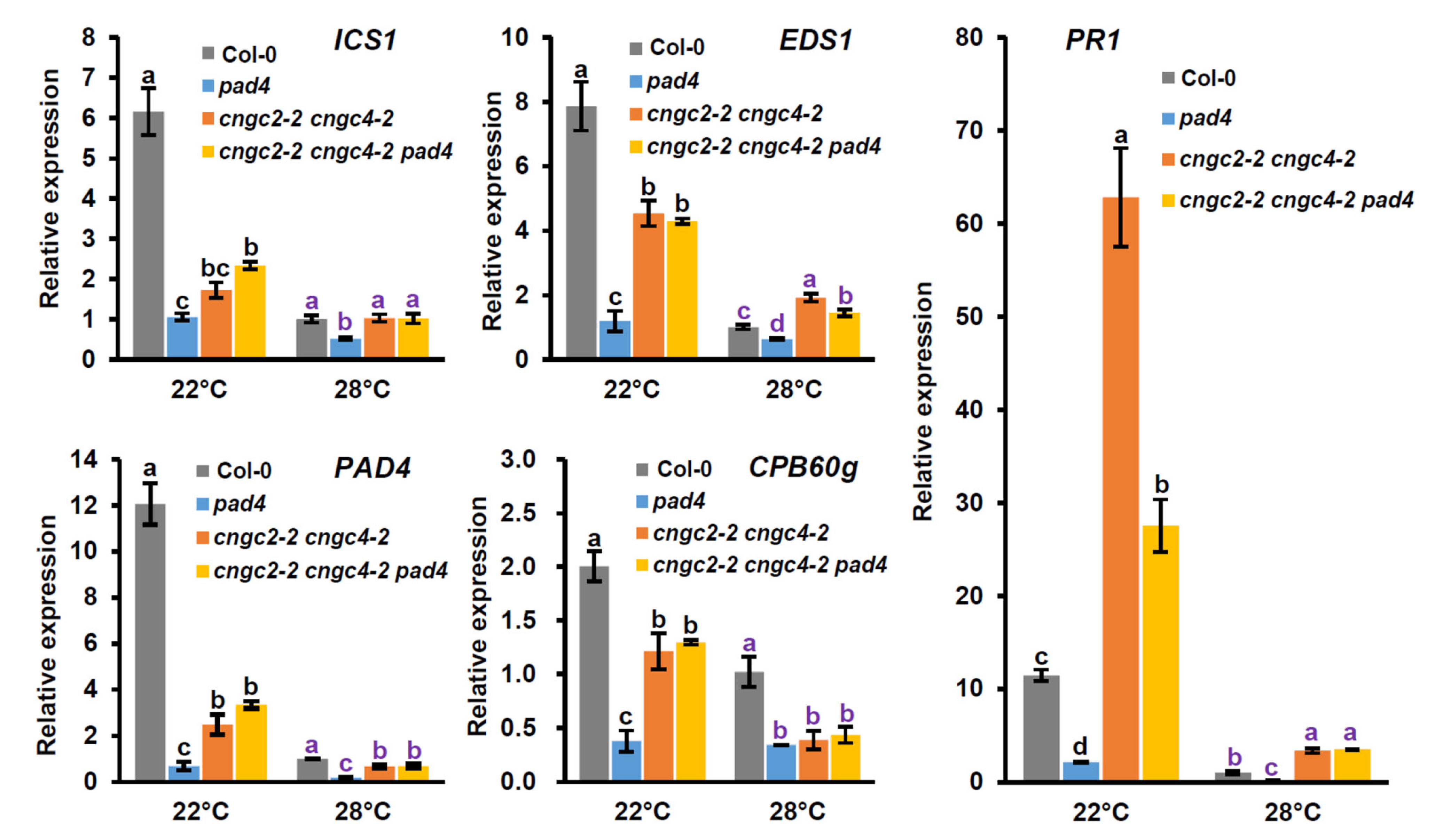 Agronomy 12 02176 g003