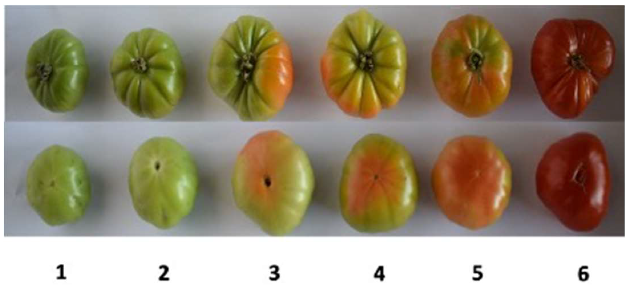 Agronomy 12 02178 g0a1