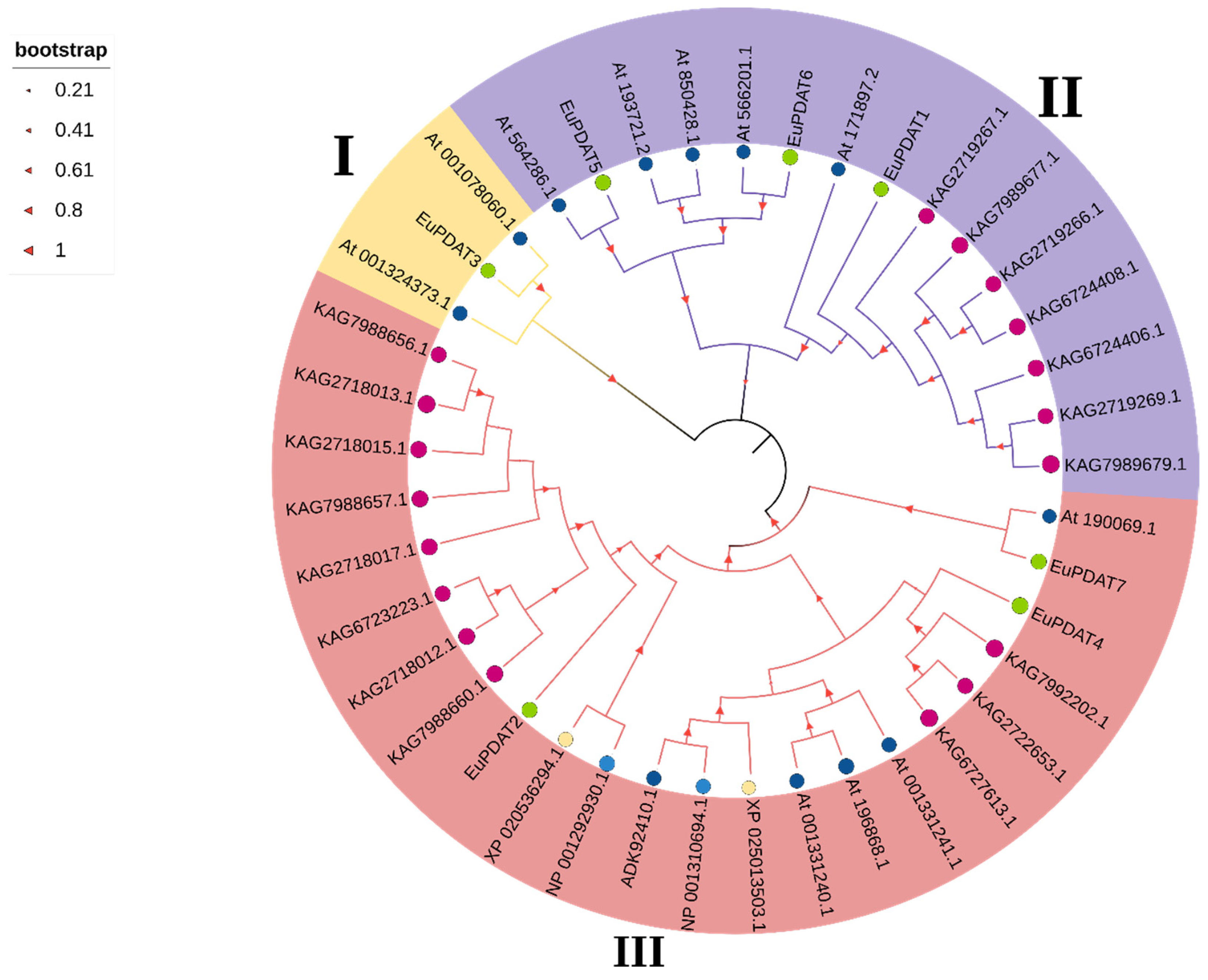 Agronomy 12 02197 g004