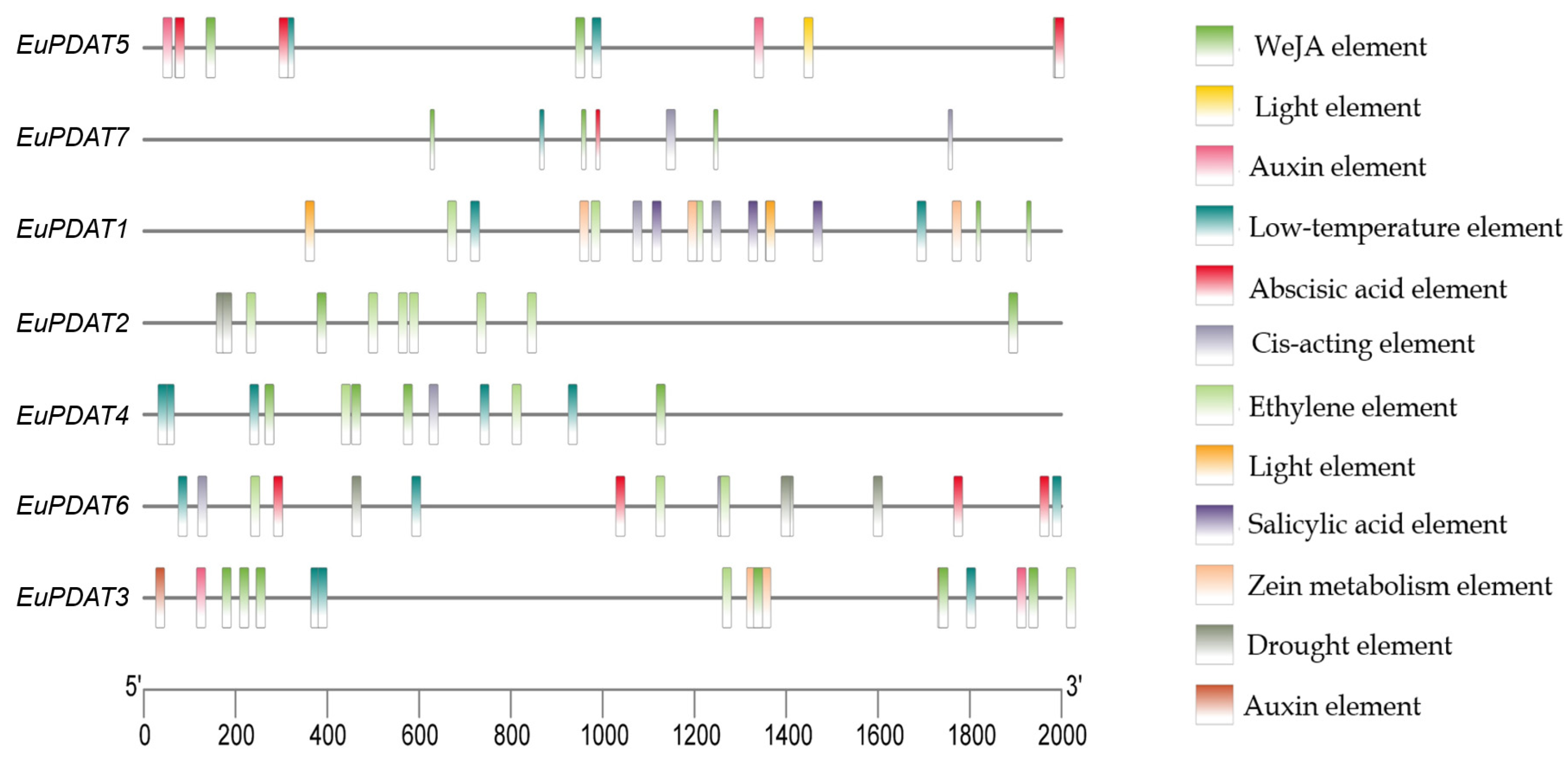 Agronomy 12 02197 g007