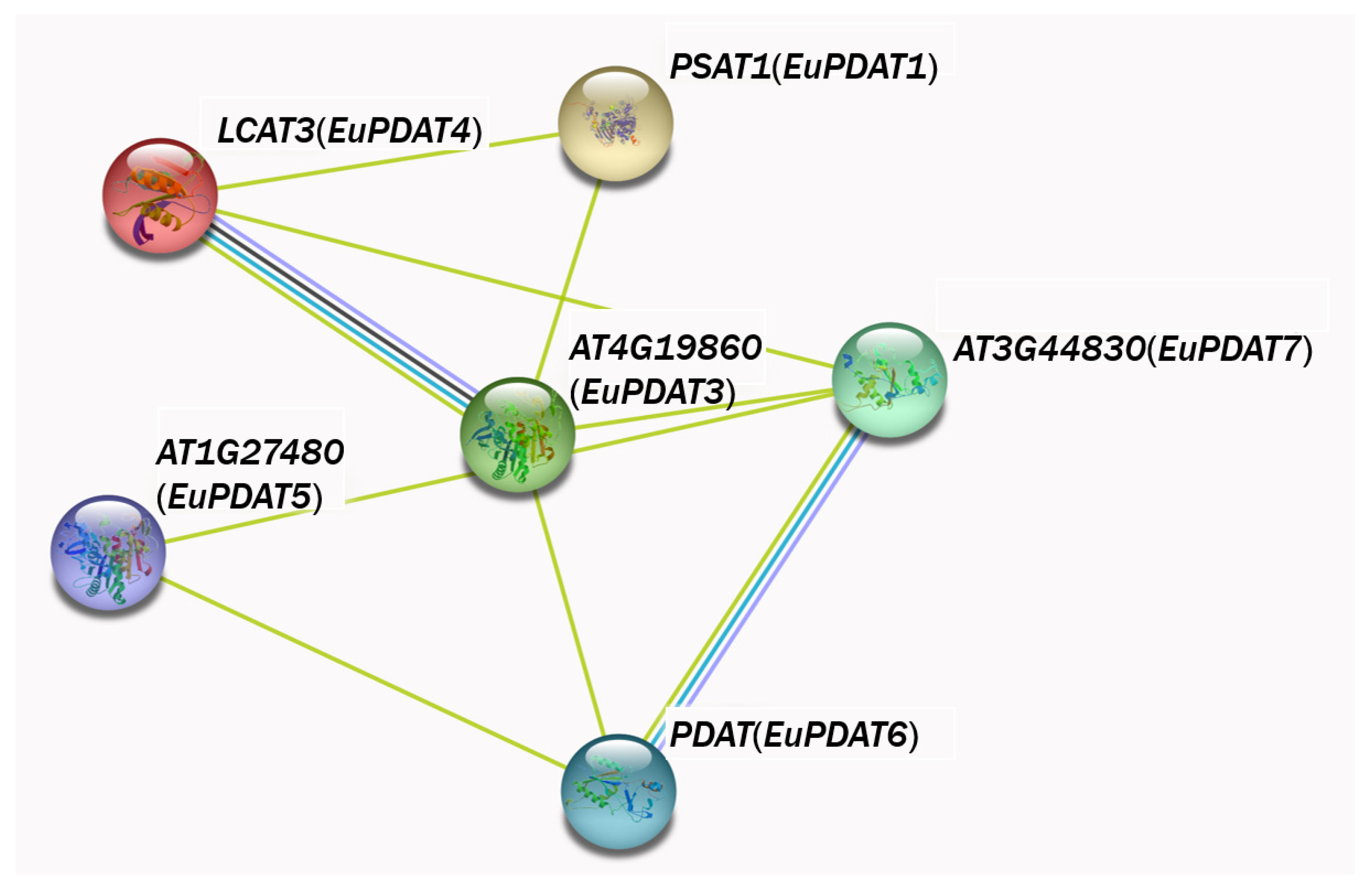 Agronomy 12 02197 g008