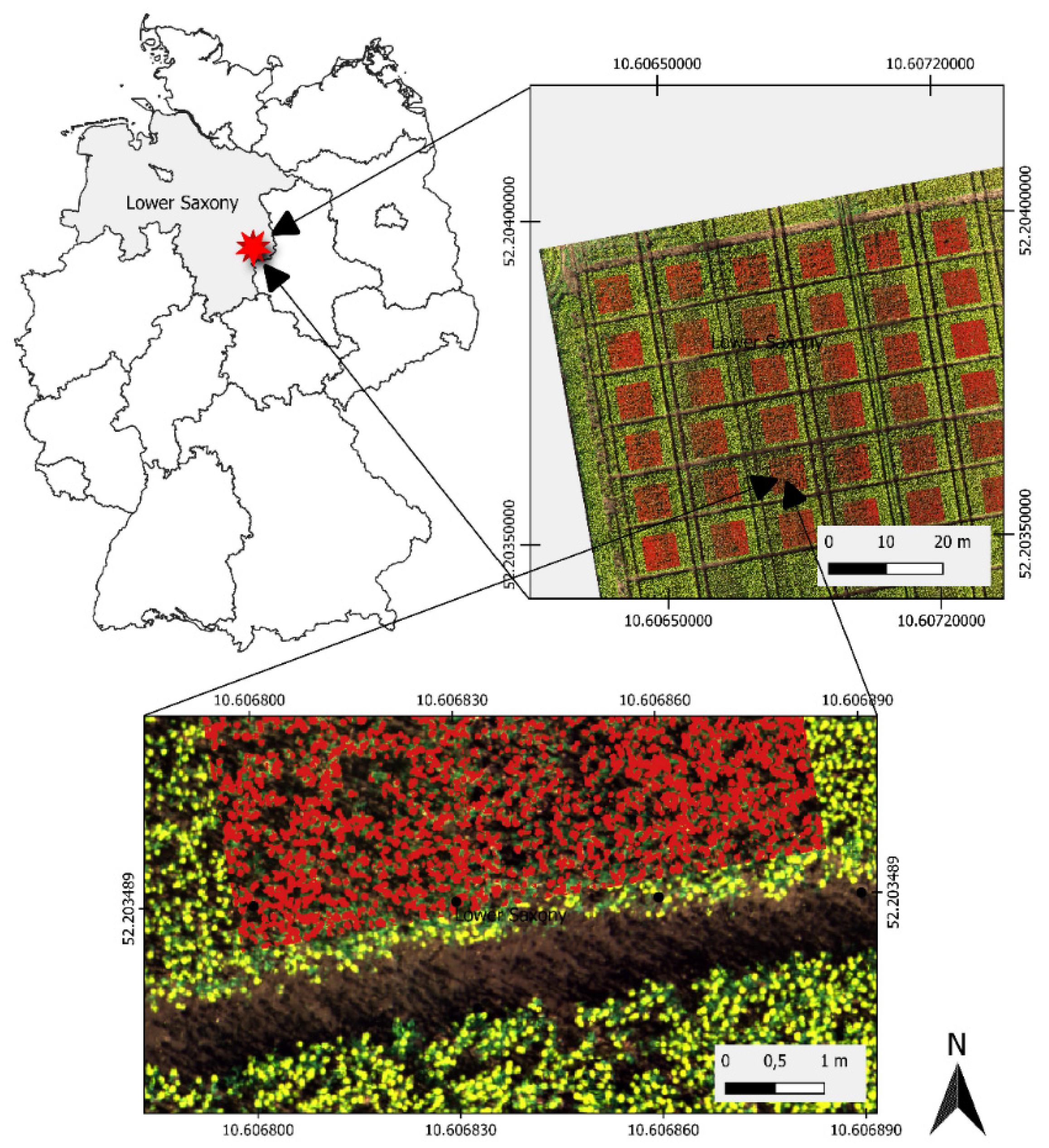 Agronomy 12 02212 g001