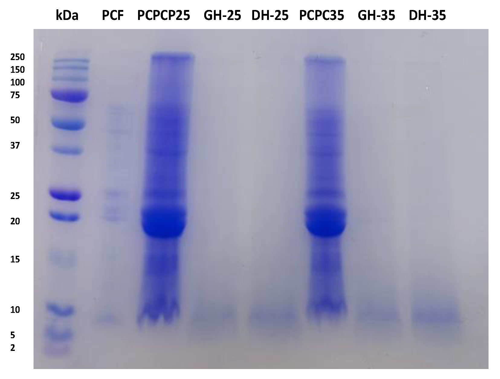 Agronomy 12 02217 g001
