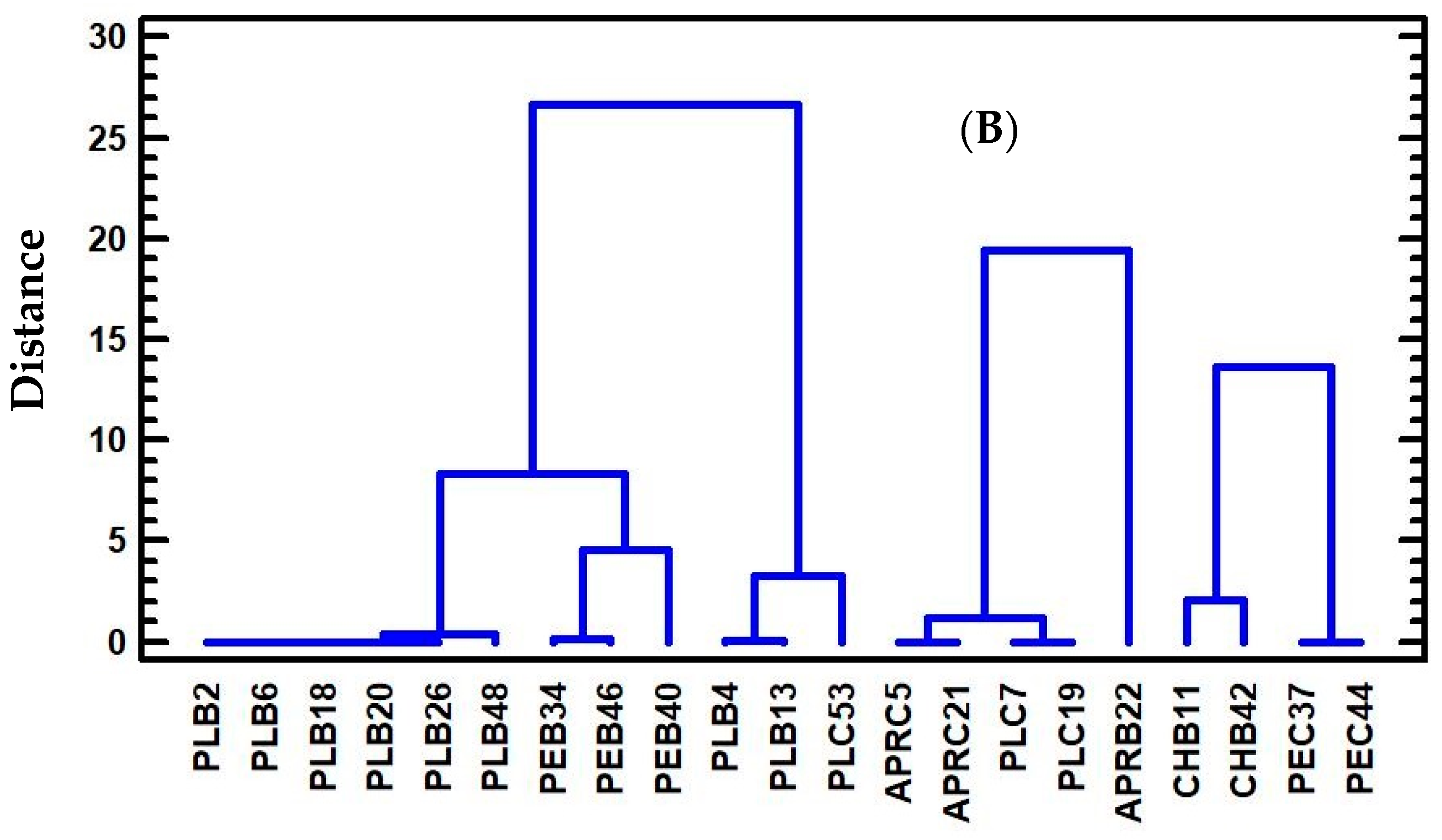 Agronomy 12 02224 g005b