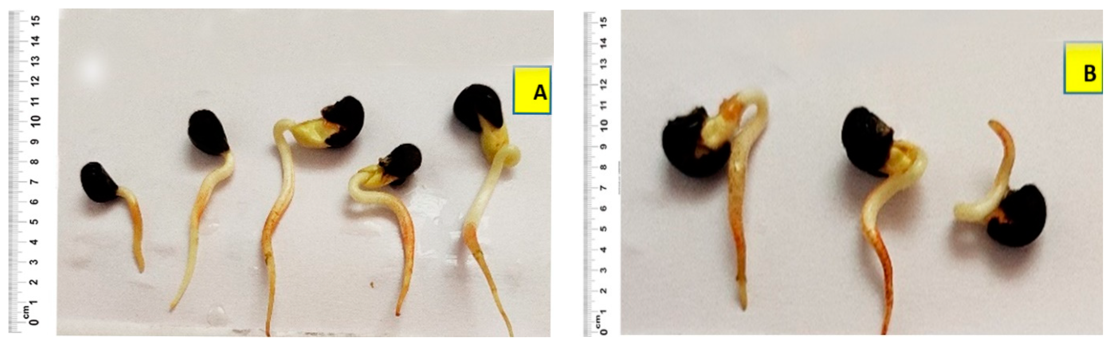 Agronomy 12 02247 g001