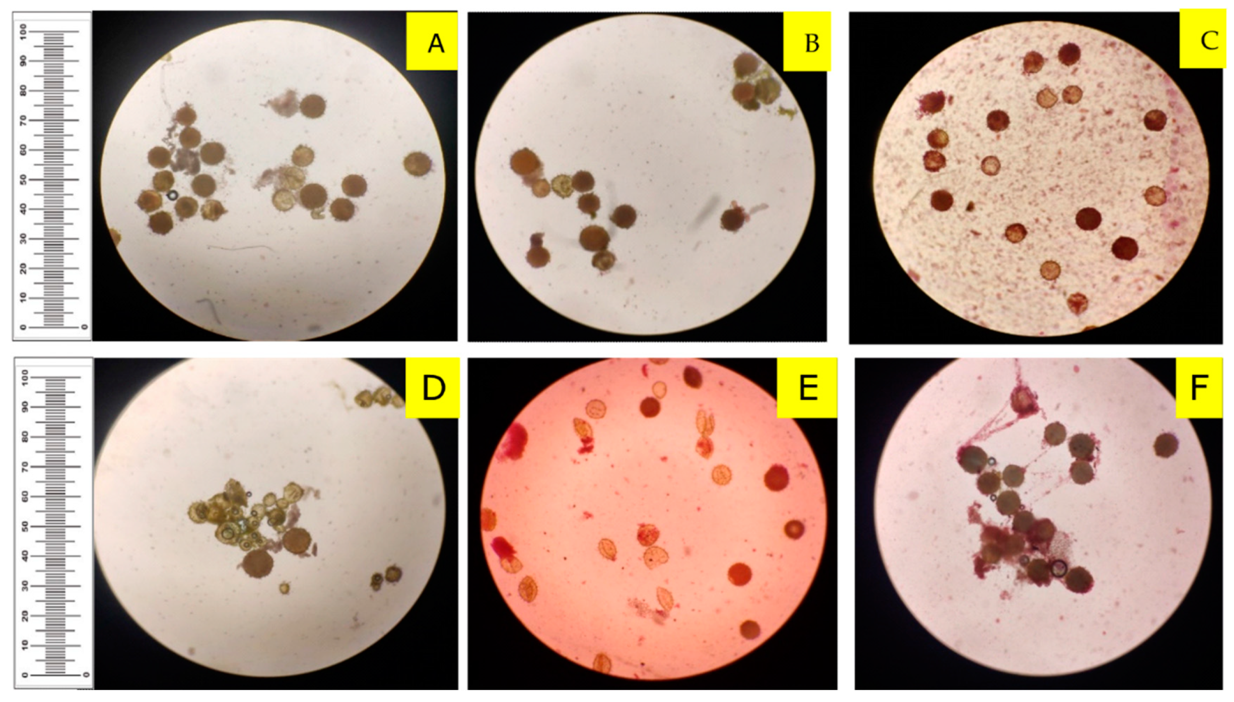 Agronomy 12 02247 g004