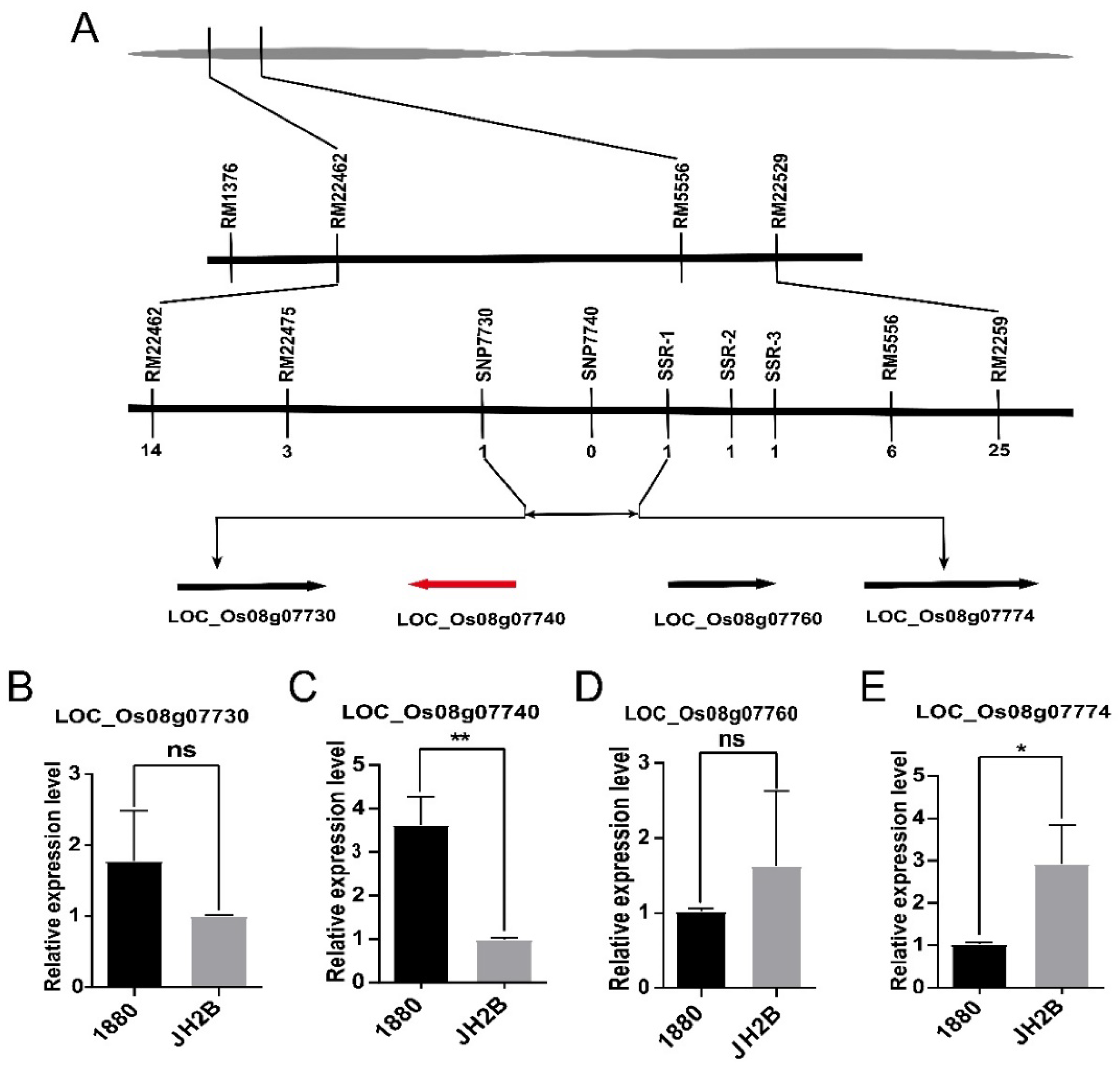 Agronomy 12 02260 g002