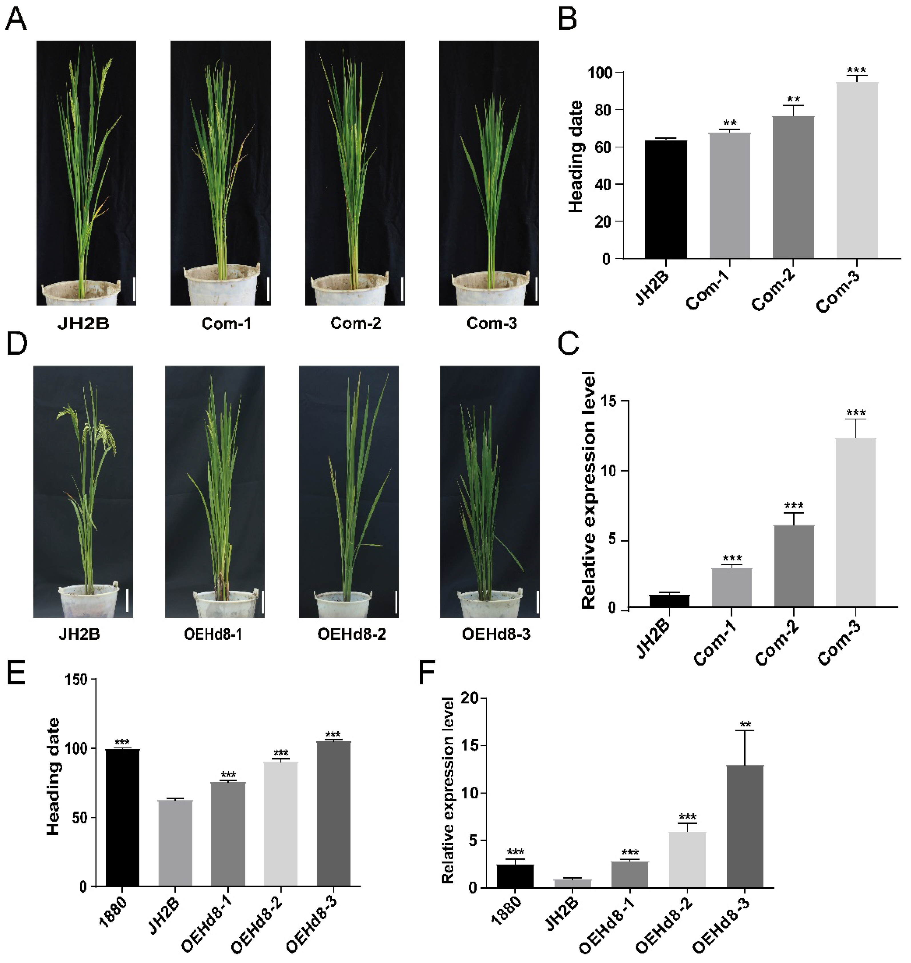 Agronomy 12 02260 g003