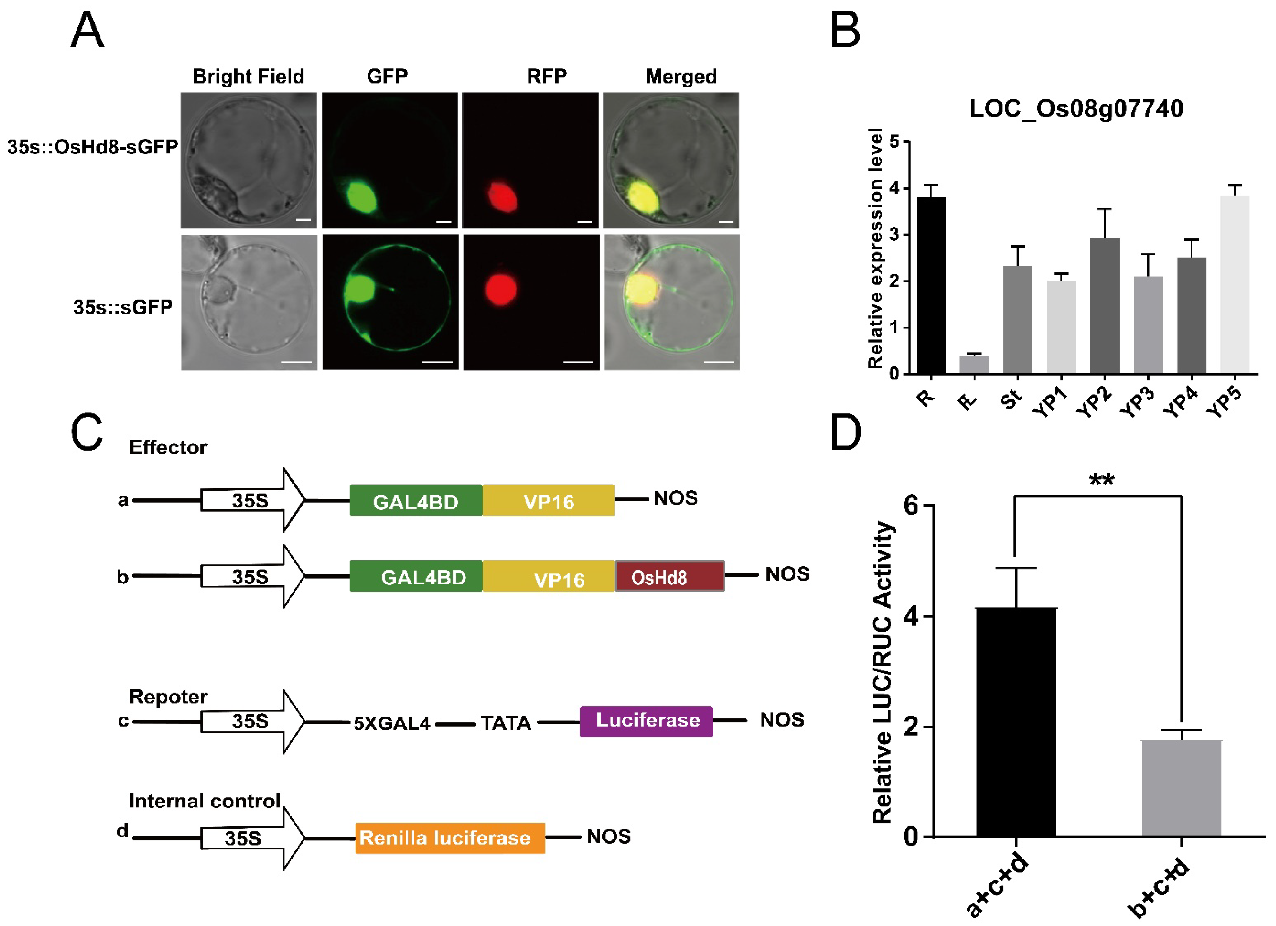 Agronomy 12 02260 g004