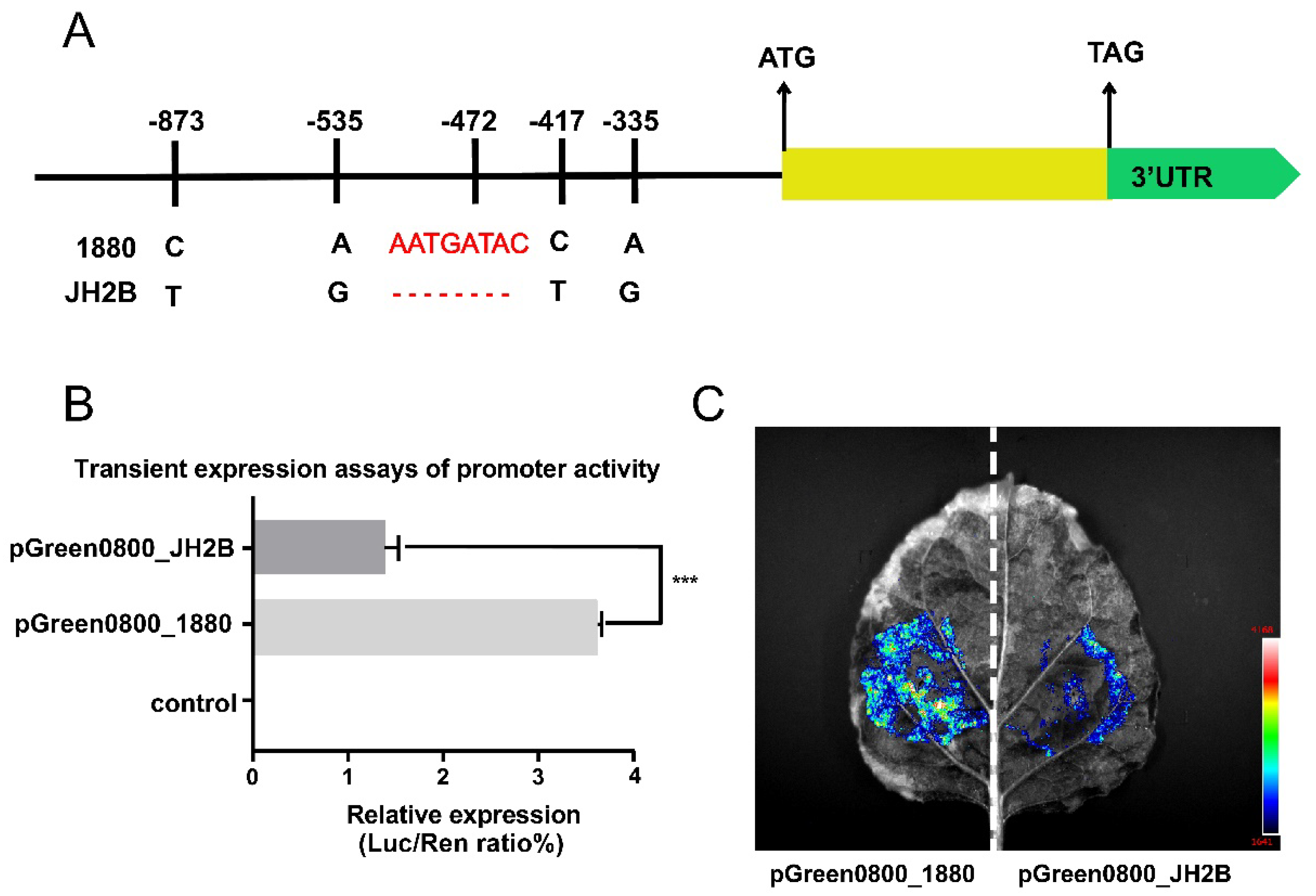 Agronomy 12 02260 g005