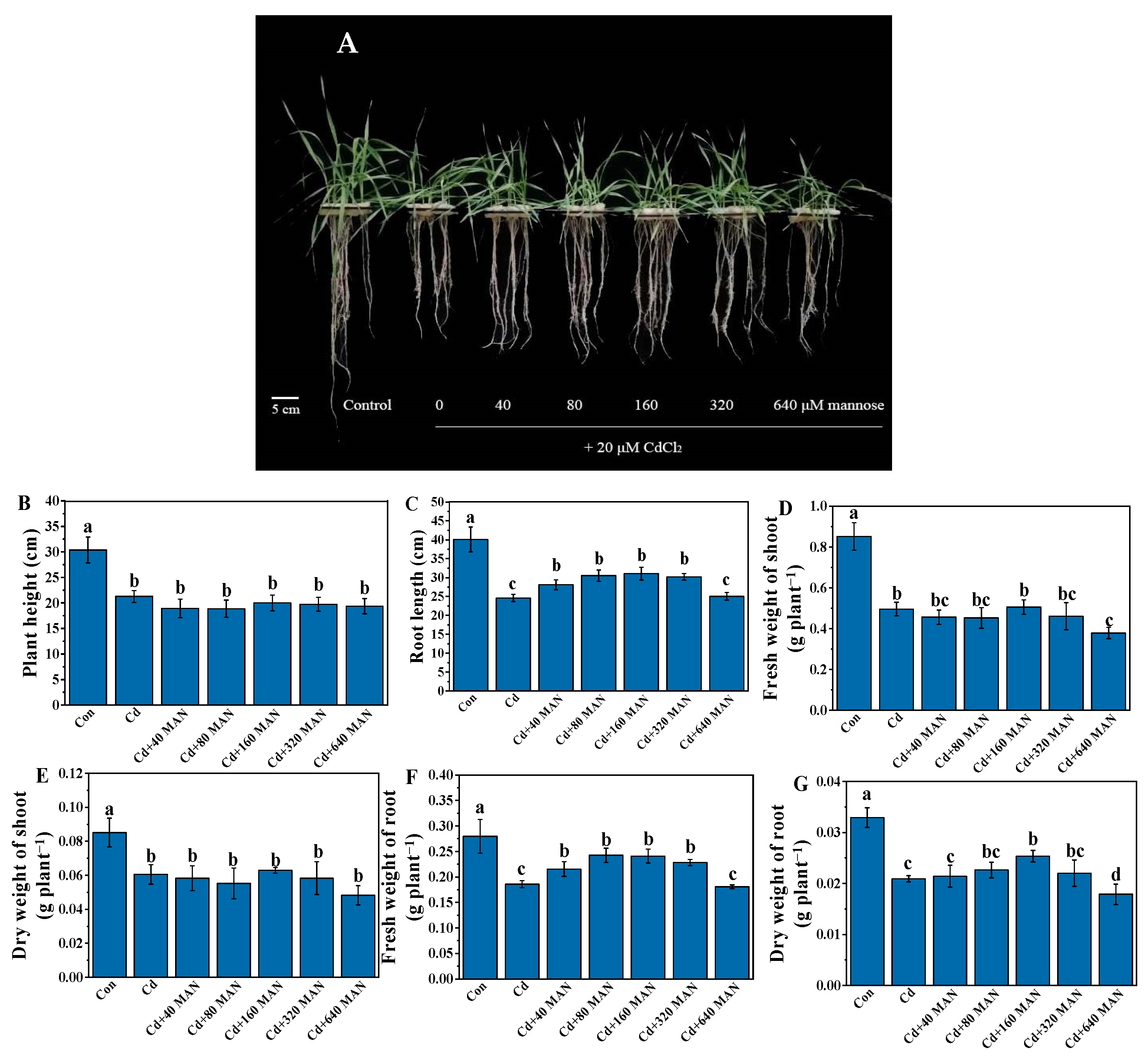 Agronomy 12 02273 g001