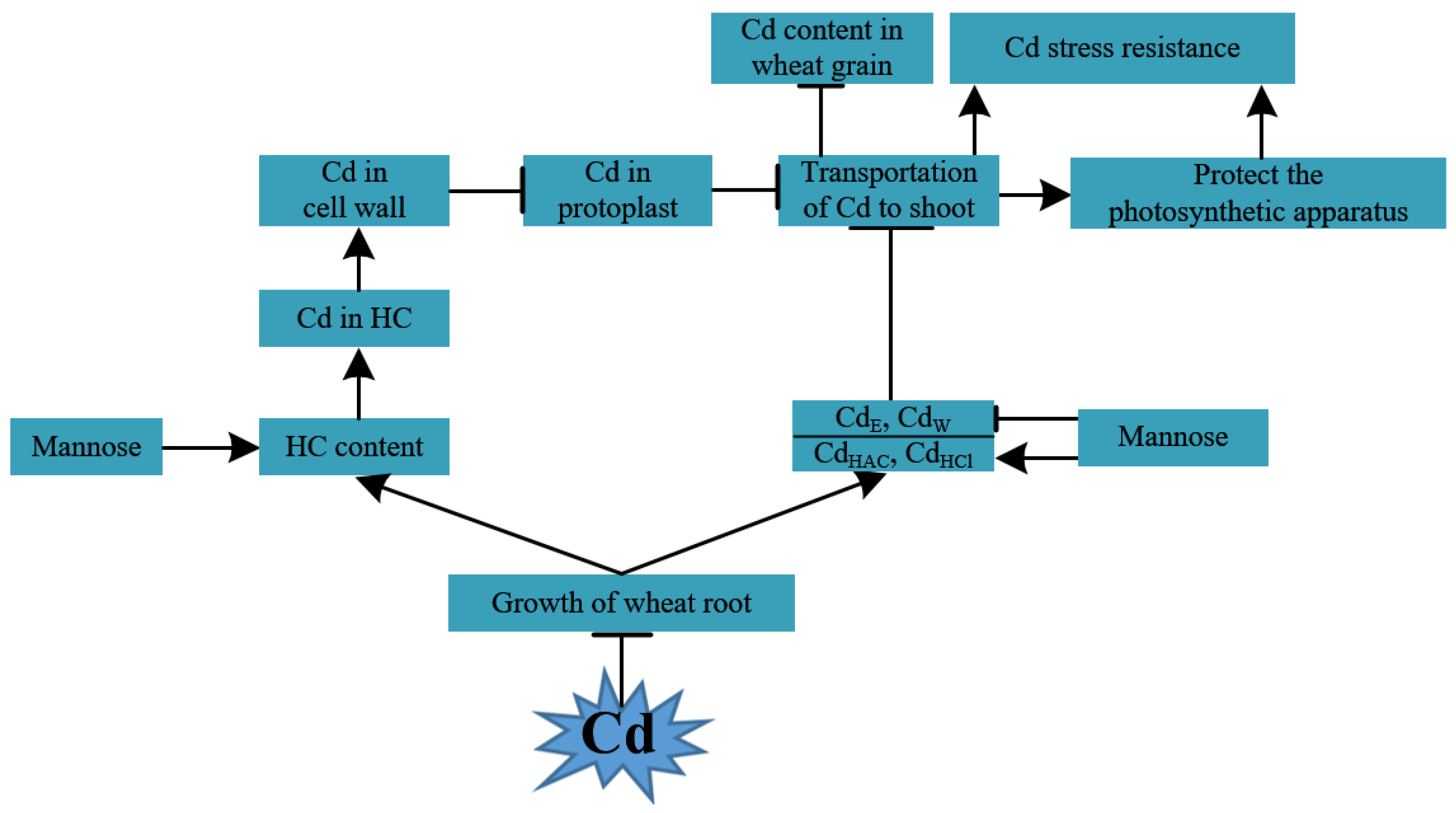 Agronomy 12 02273 g006