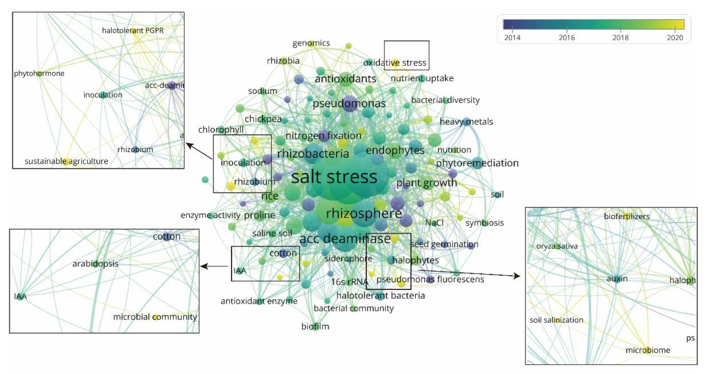 Agronomy 12 02304 g007