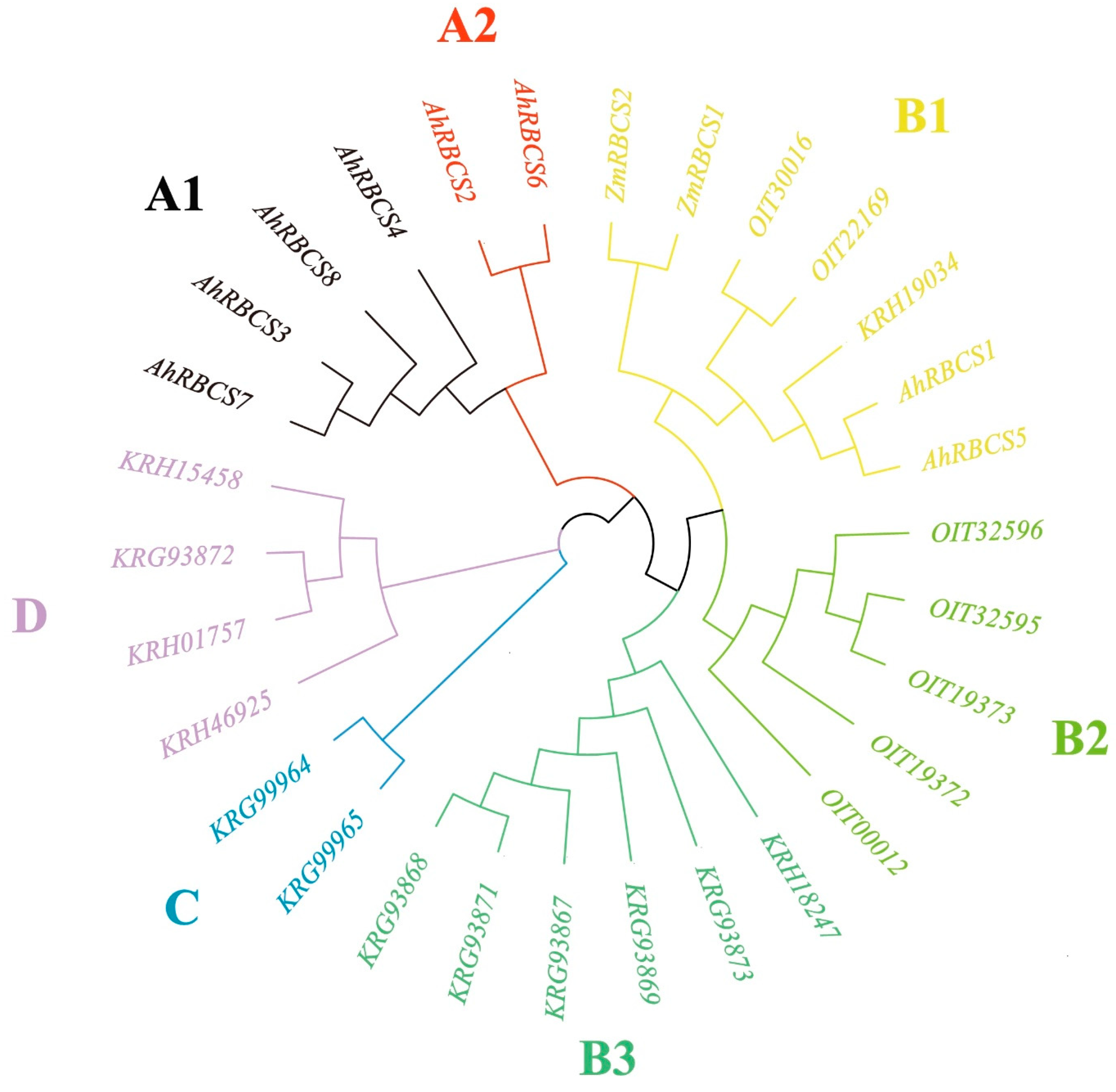 Agronomy 12 02316 g001 Agronomy 12 02316 g001