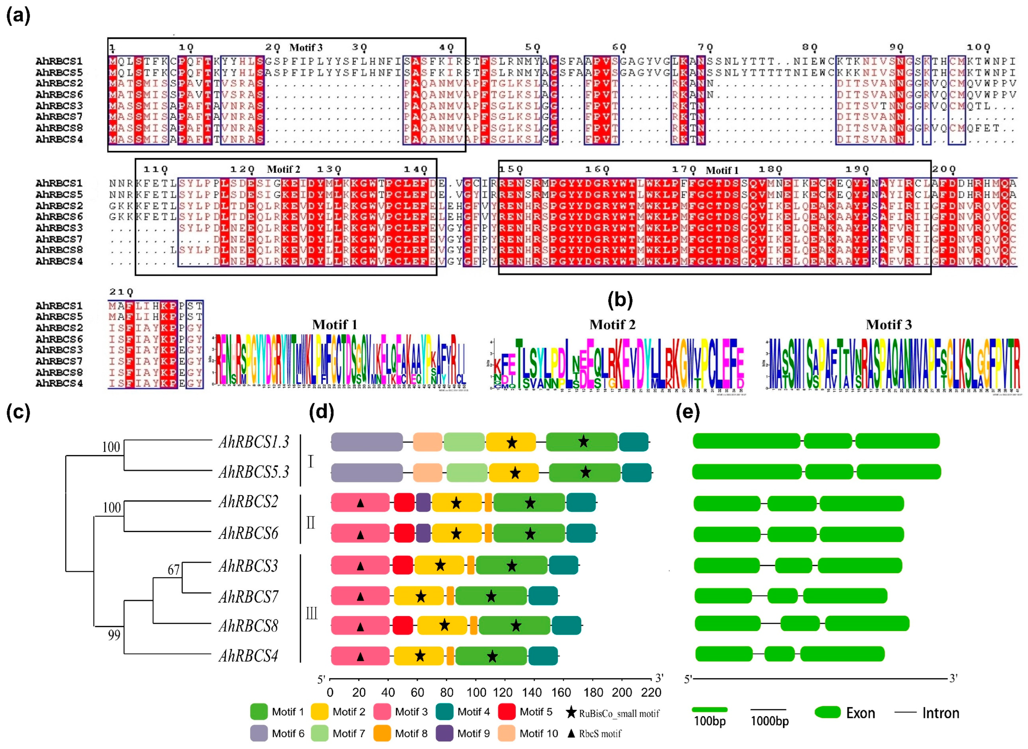 Agronomy 12 02316 g002 Agronomy 12 02316 g002