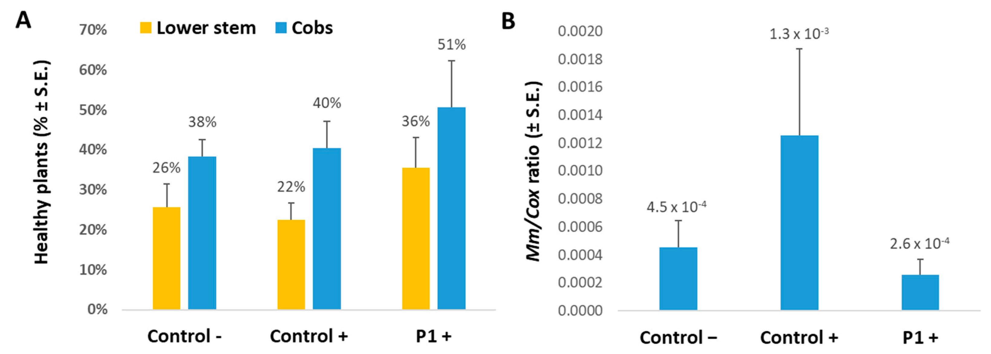 Agronomy 12 02339 g002