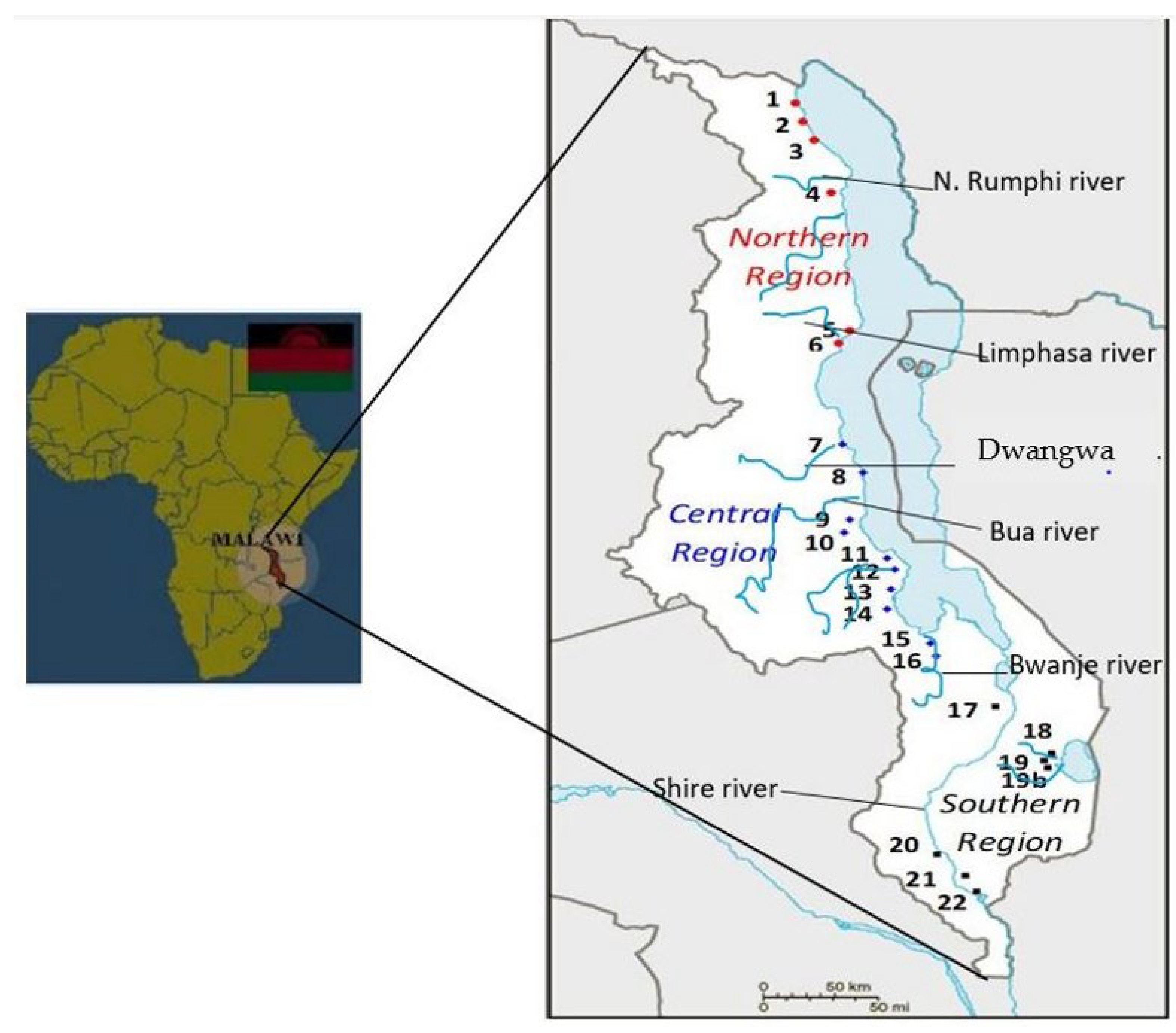 Agronomy 12 02349 g001