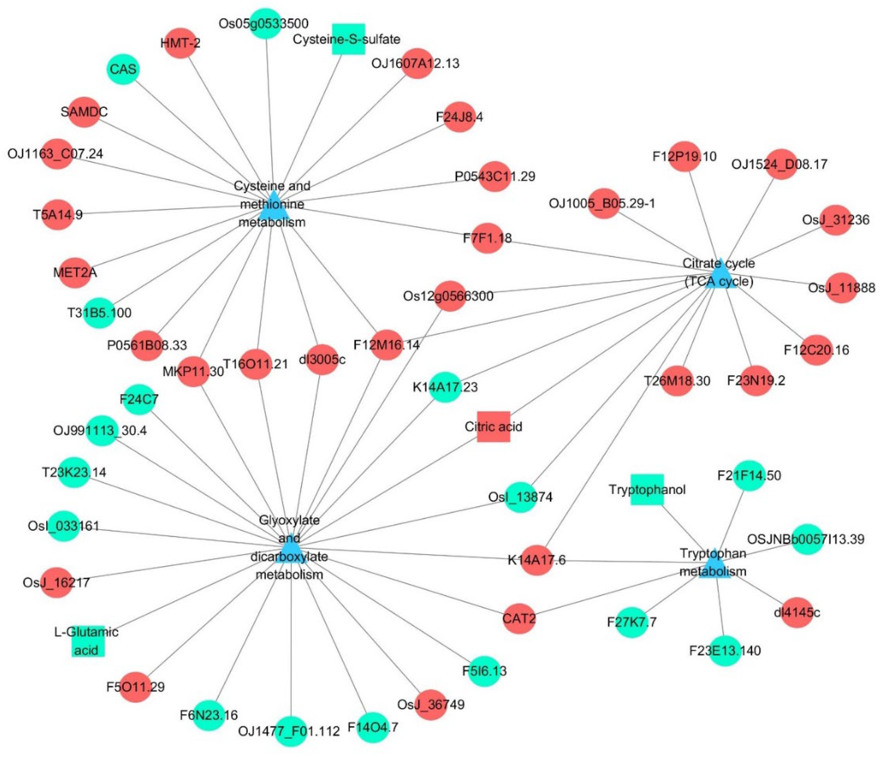 Agronomy 12 02353 g009